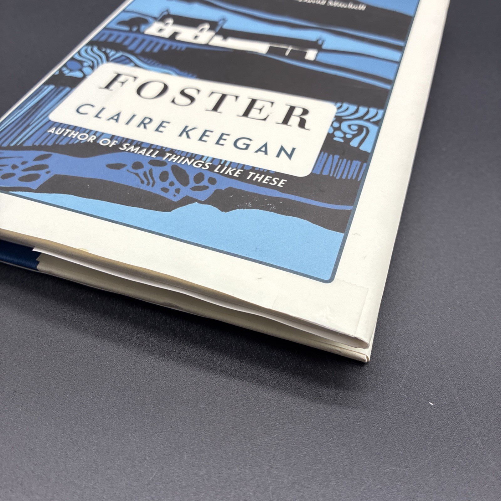 Foster by Claire Keegan Paperback Novel Fiction Book