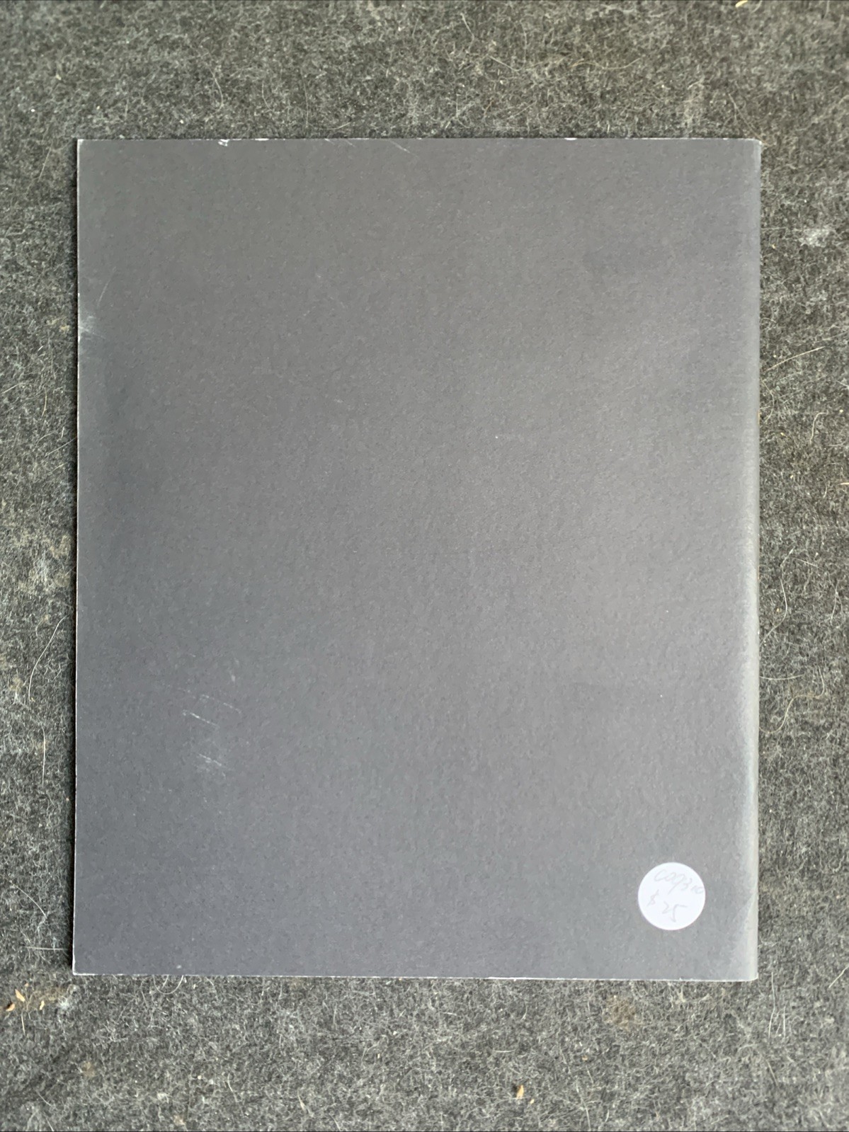 Visible Library : Sam Falls : PB, 32 pages