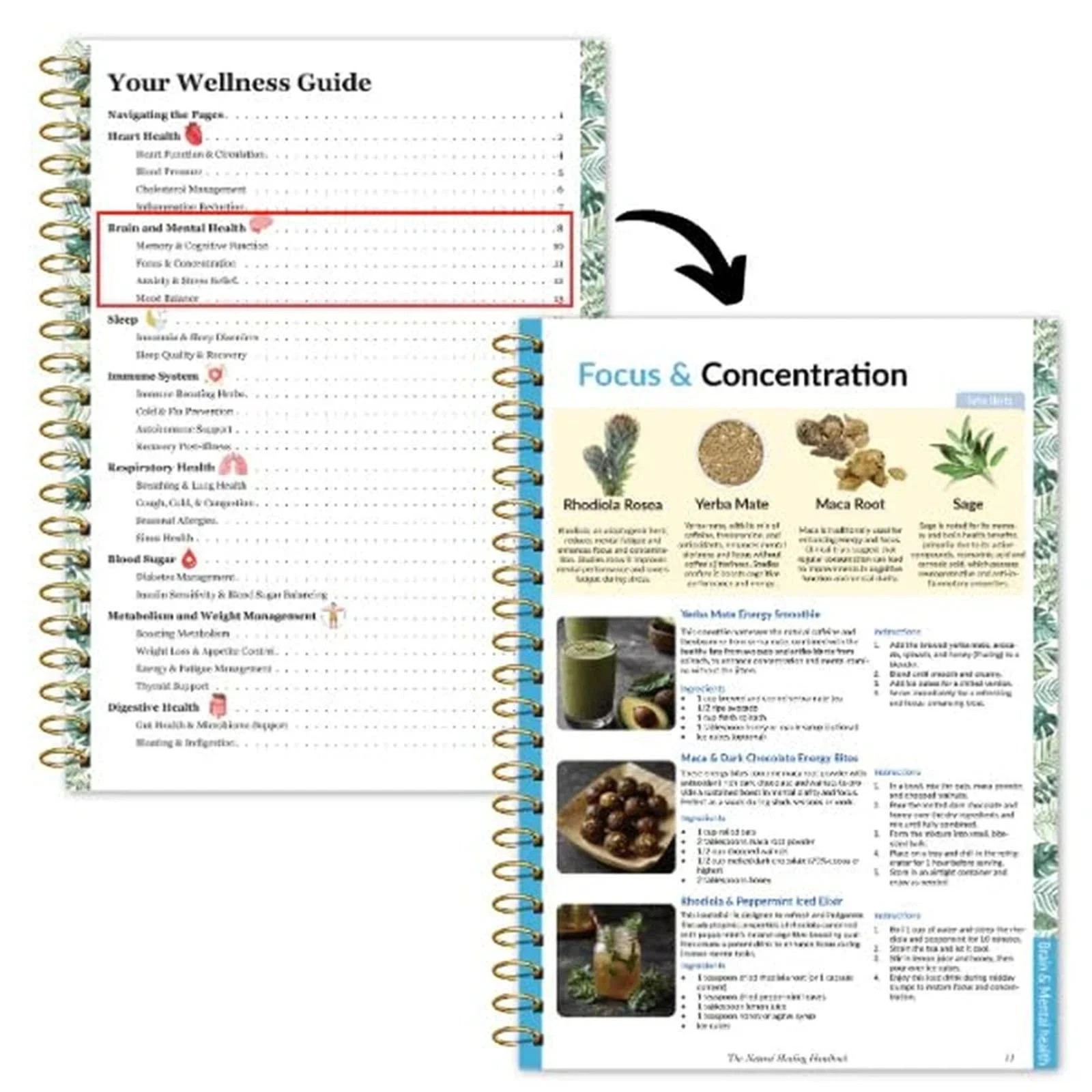The Natural Healing Handbook – Ancient Herbal Remedies Spiral-Bound Guide