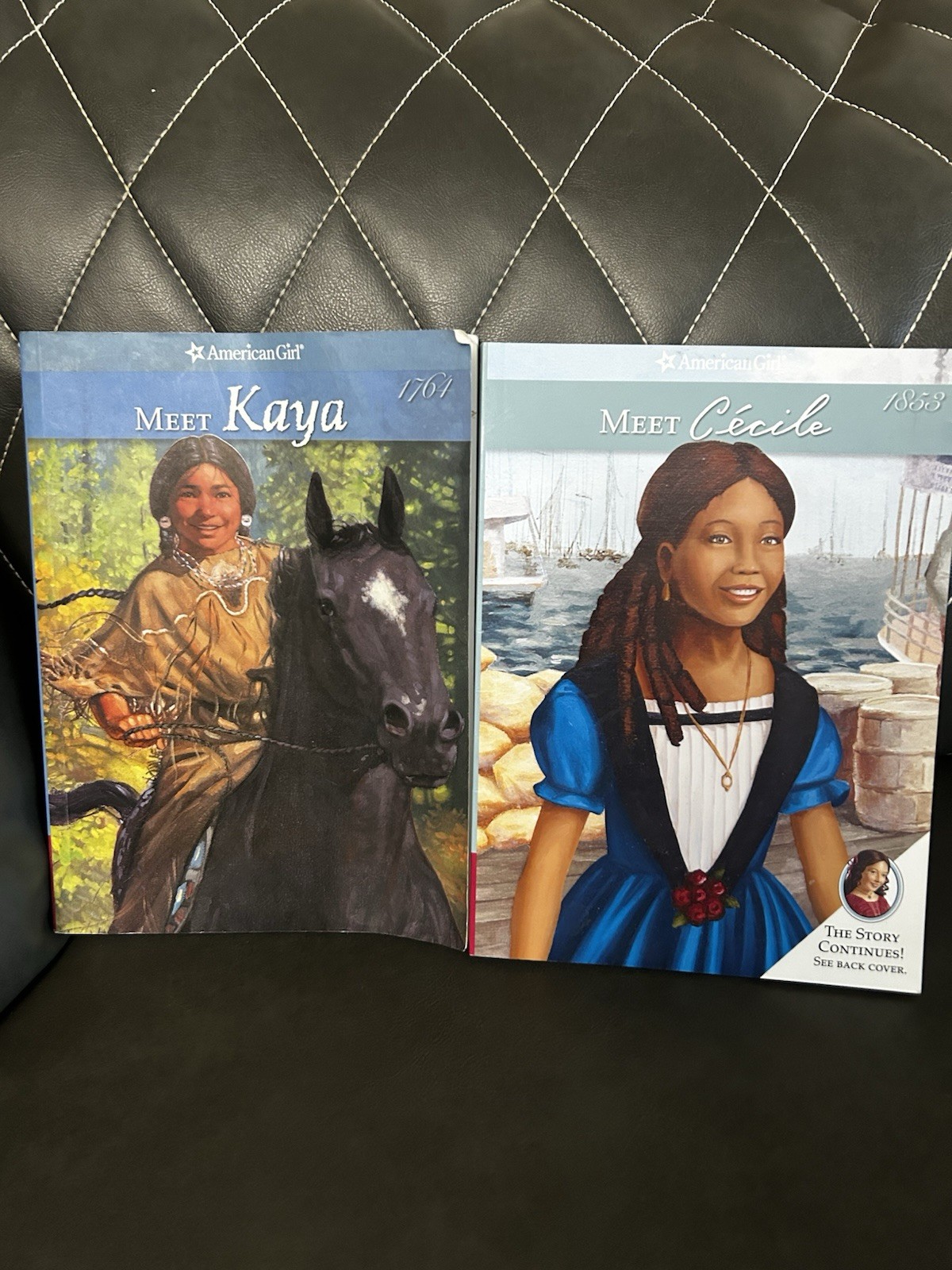 American Girl Books Lot (19 Books)