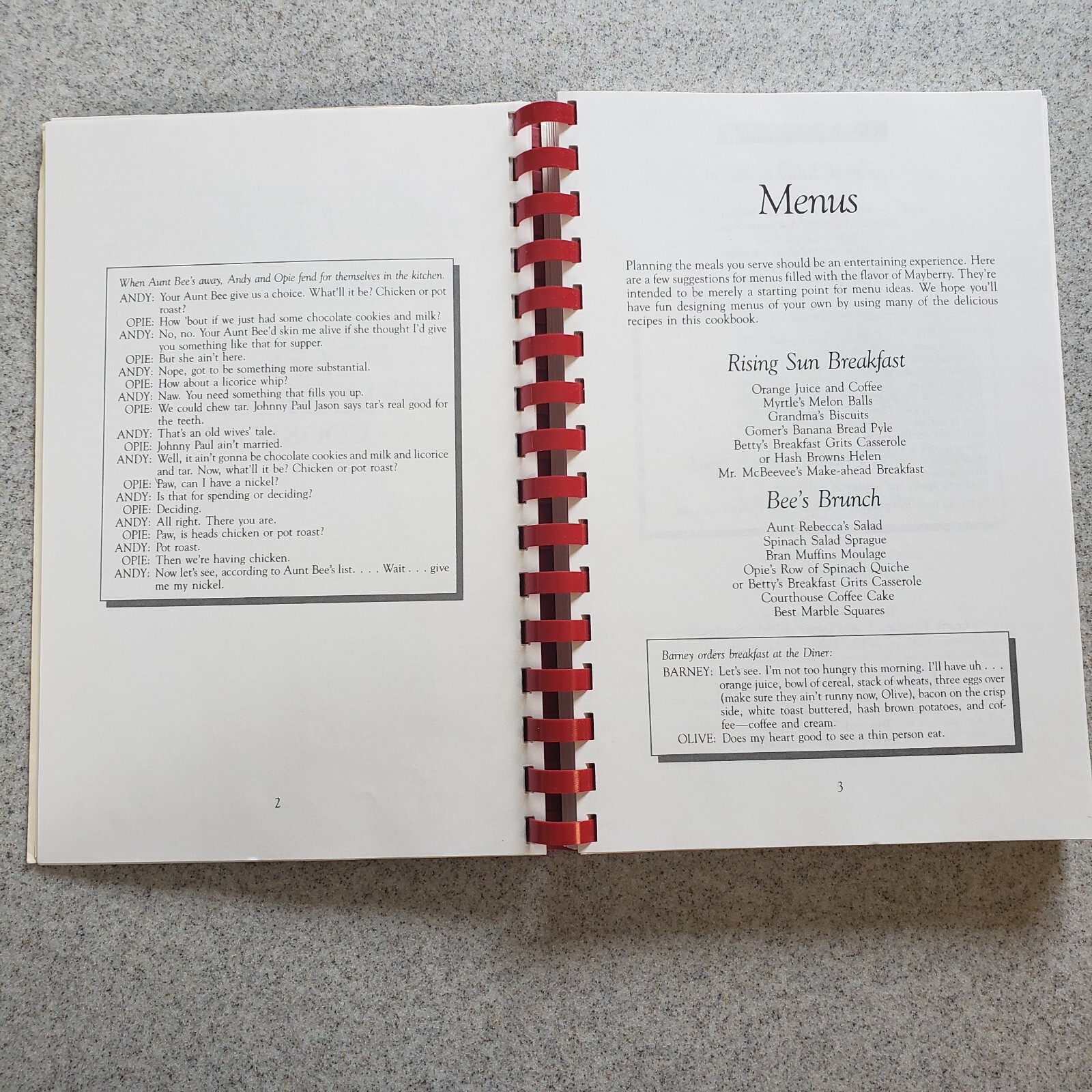 Aunt Bees Mayberry Cookbook 244 Pages Recipes Interesting Read Too