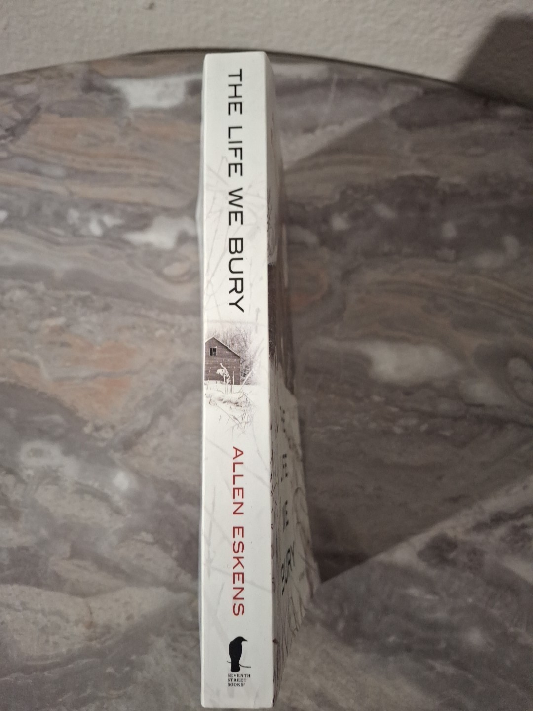 Life We Bury by Not Available (2014, Trade Paperback)
