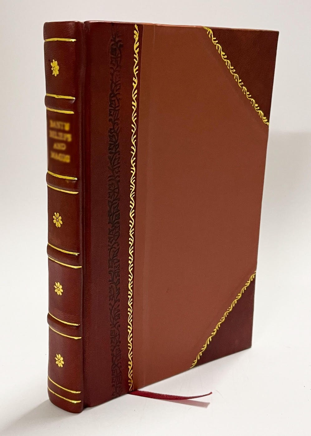 The Stratigraphic and Faunal Relations of the Martinez Formatio [Leather Bound]