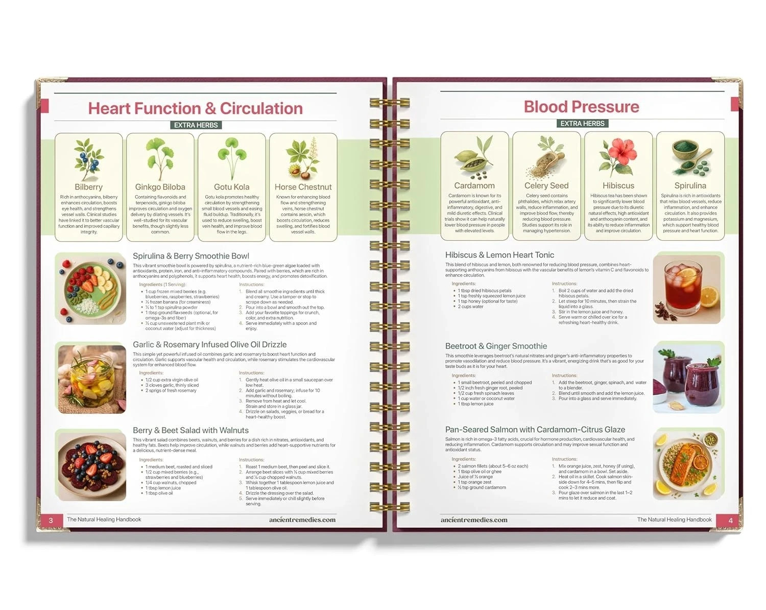 The Natural Healing Handbook – Ancient Herbal Remedies Spiral-Bound Guide