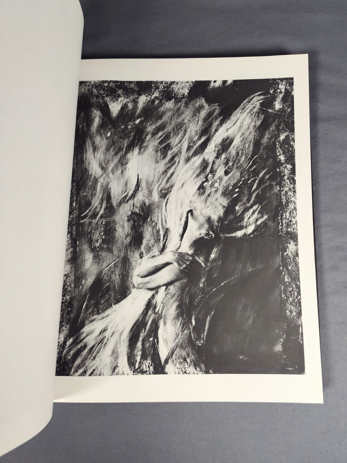 JUDY COLEMAN – Twin Palms Publishers 1989 First Edition Limited to 2000 HB/DJ