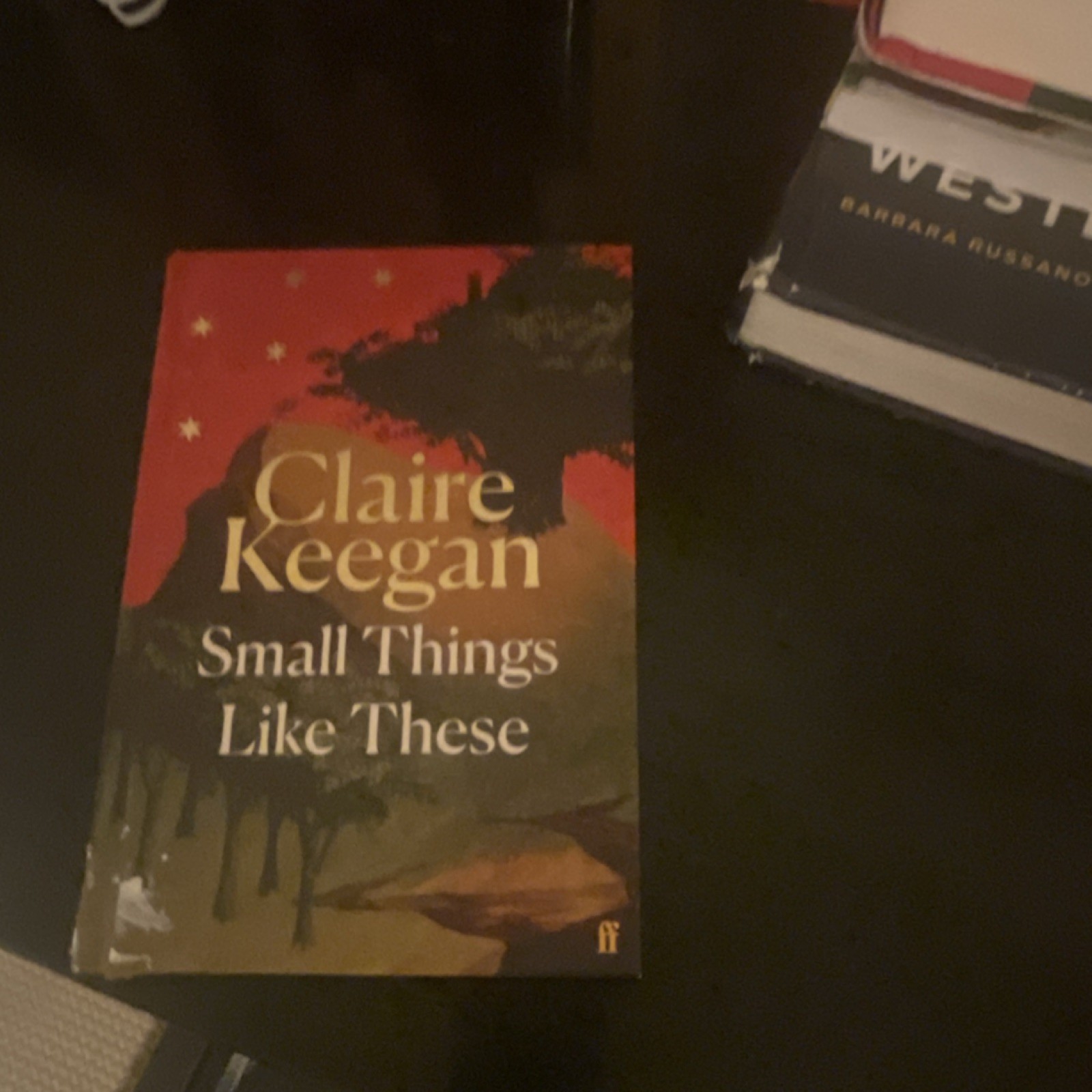 Small Things Like These by Claire Keegan (Faber & Faber, Family Life)