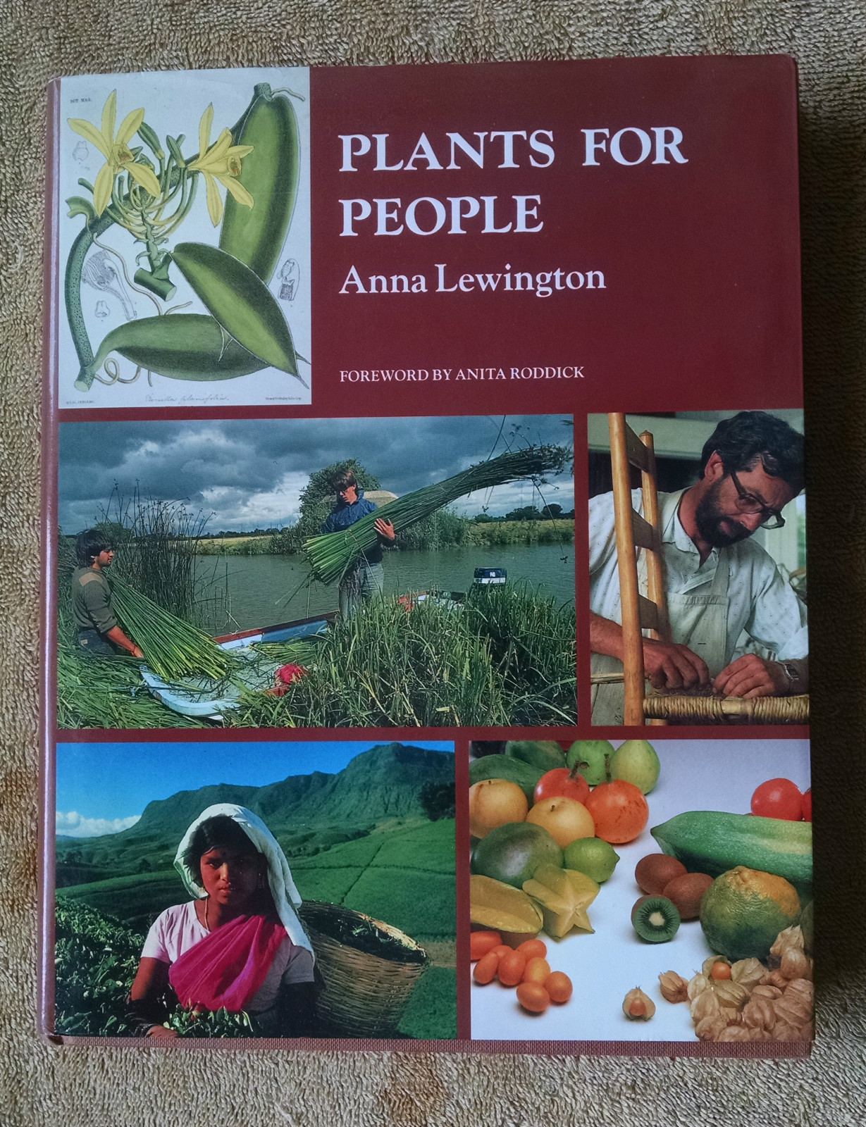 Plants for People by Anna Lewington 1990 Oxford Royal Botanic Gardens Kew