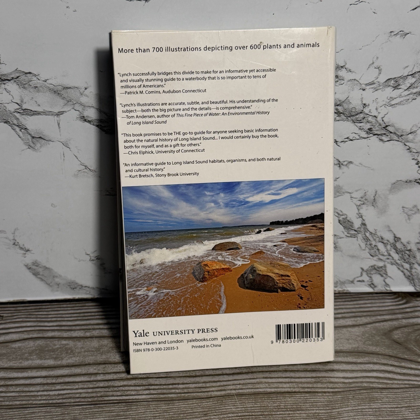 A Field Guide to Long Island Sound by Patrick J. Lynch Paperback Yale Uni. Press