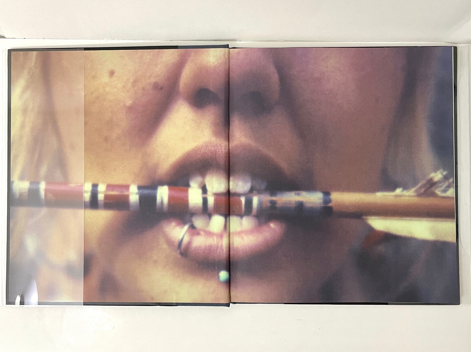 Tones of Dirt and Bone by Mike Brodie (2014, Hardcover) – 1st Edition Twin Palms