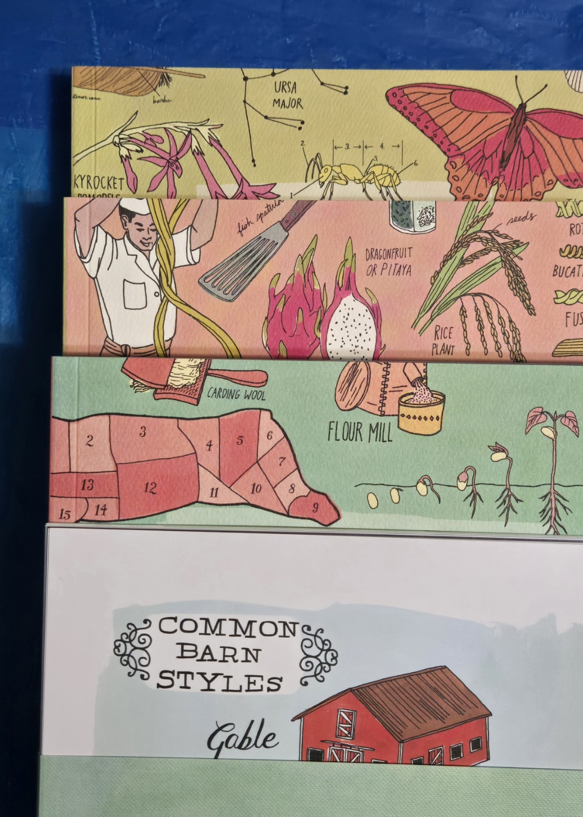 The Julia Rothman Collection: Farm Anatomy, Nature Anatomy, and Food Anatomy VG