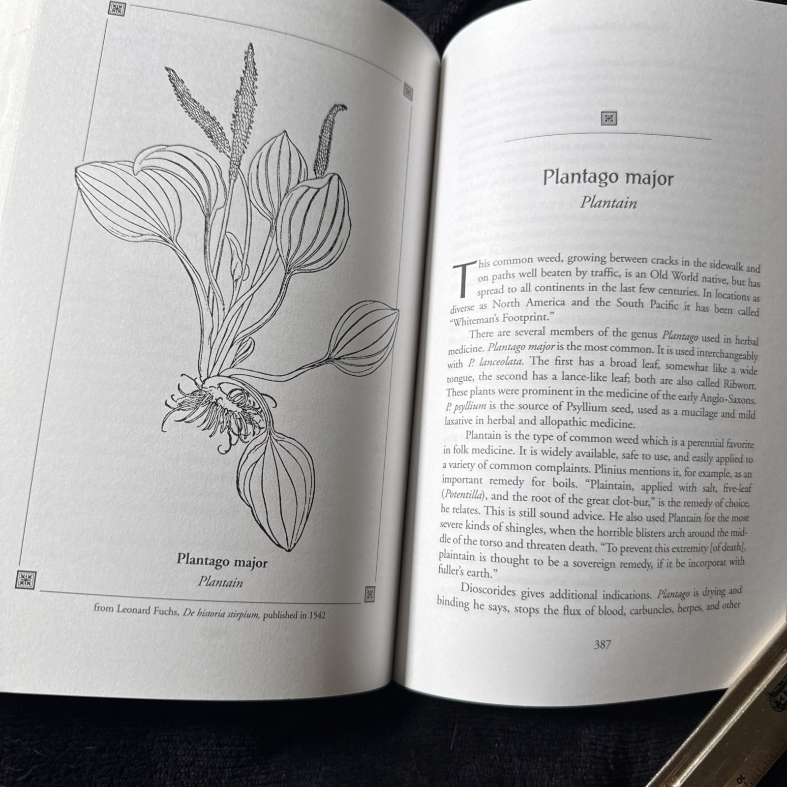 Book of Herbal Wisdom : Using Plants As Medicines by Matthew Wood (1997)