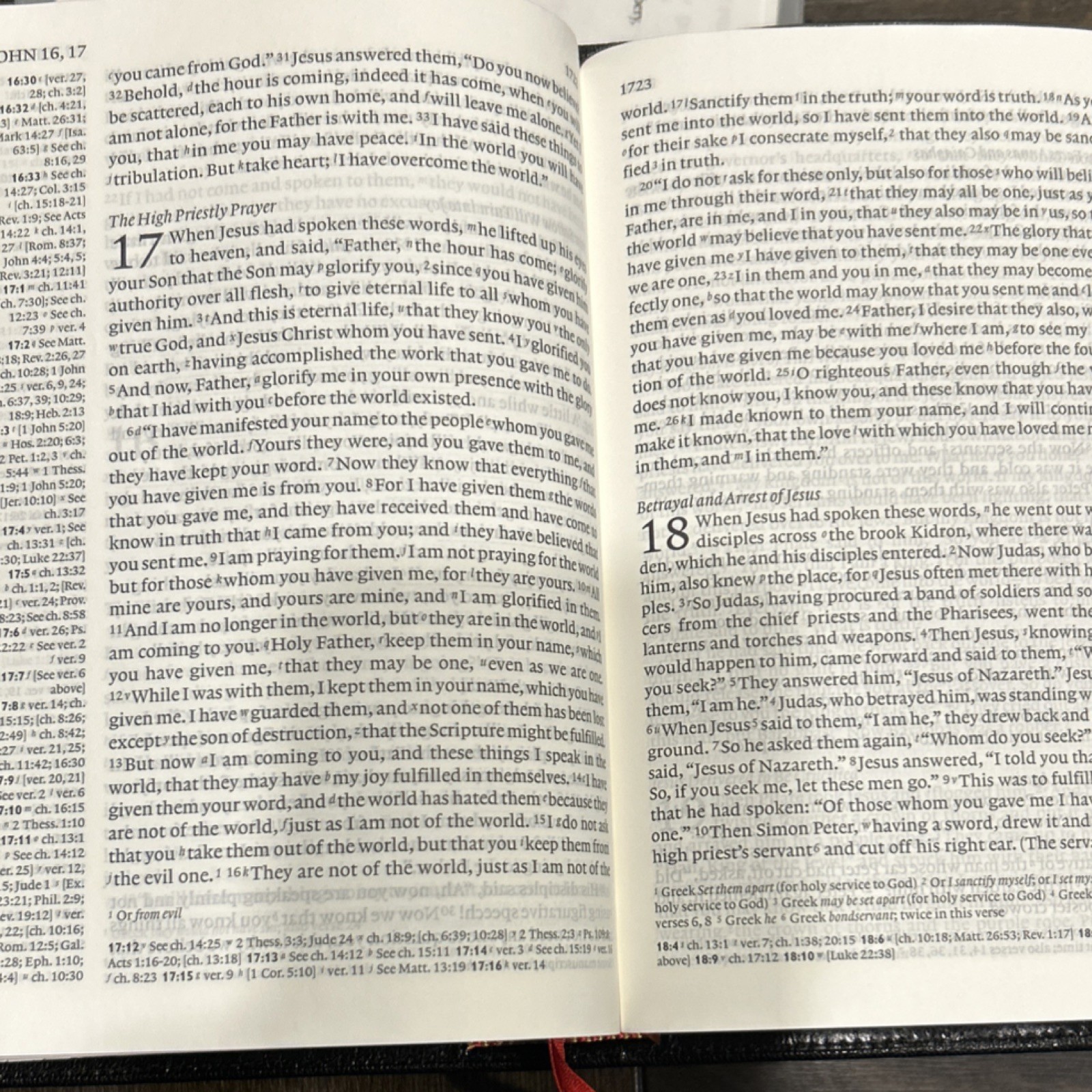 Cambridge Holy Bible English Standard Version Leather Bound Religious Bible