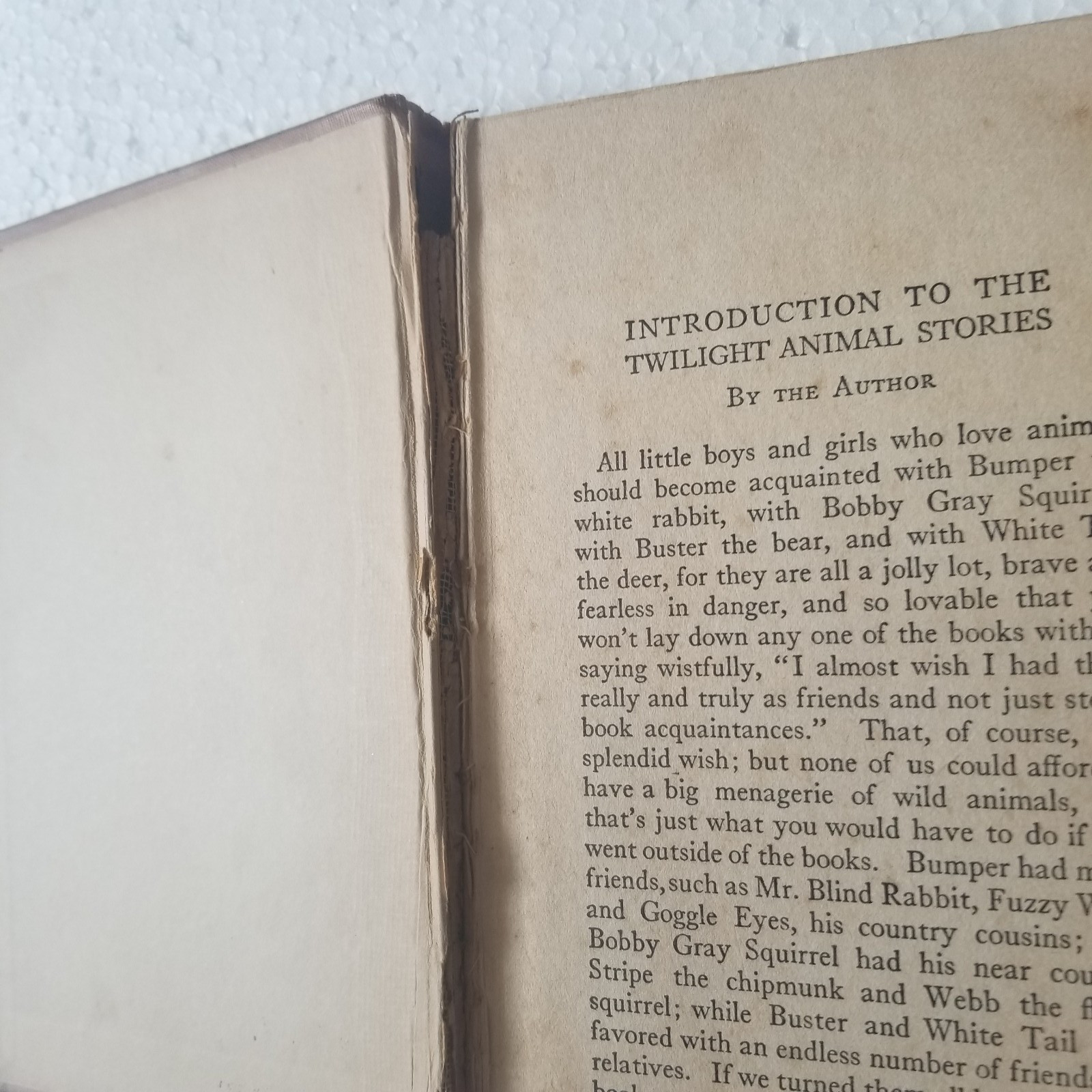 Antique 1922 BUMPER The White Rabbit by George Ethelbert Walsh HC Vtg Bit Rough