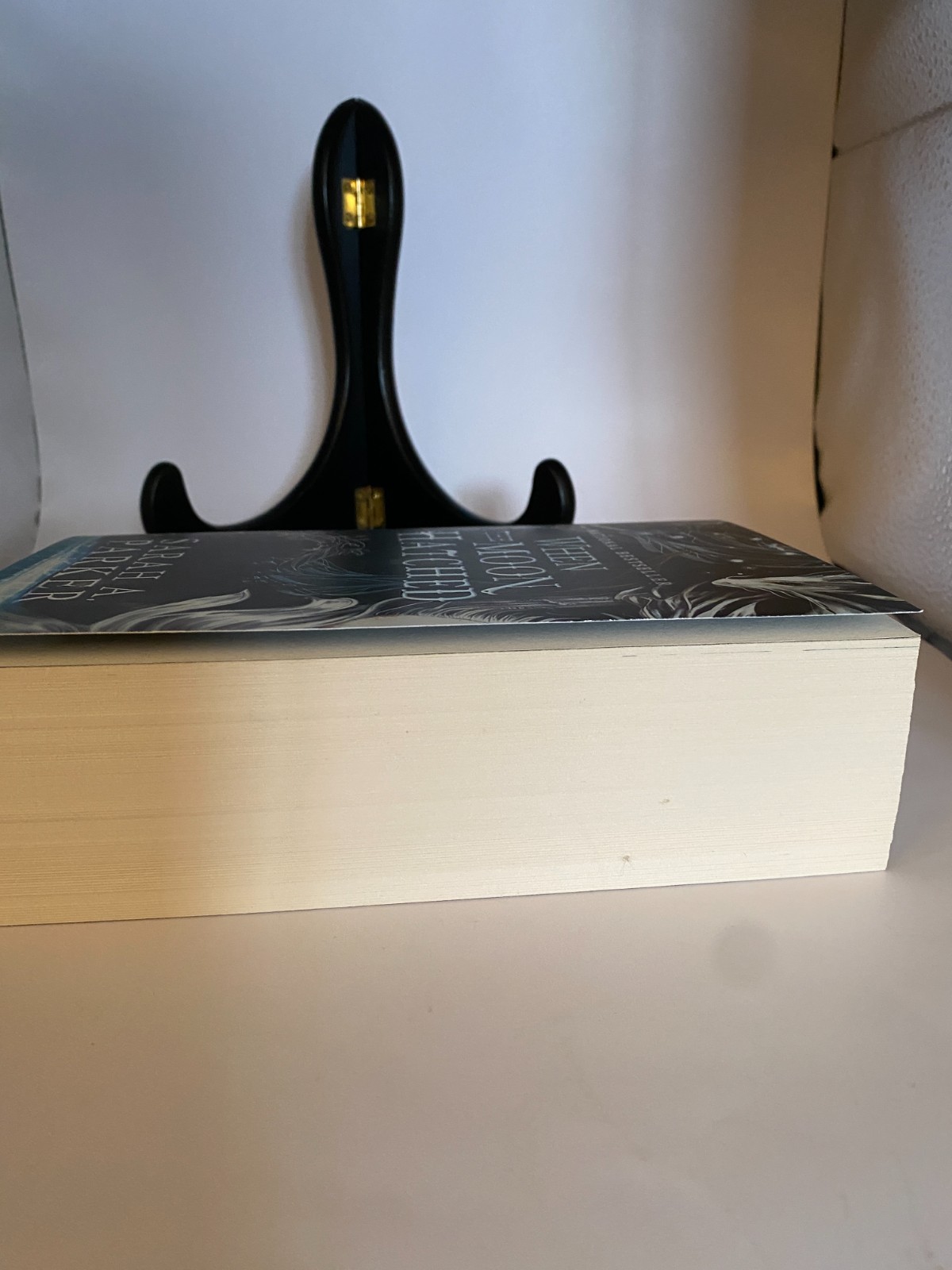 When the Moon Hatched By Sarah A. Parker PAPERBACK