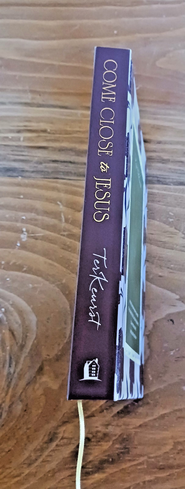 Come Close to Jesus (Lysa Terkeurst) ILLUSTRATED PIC HC/1st Edi. 2026-LIKE NEW!
