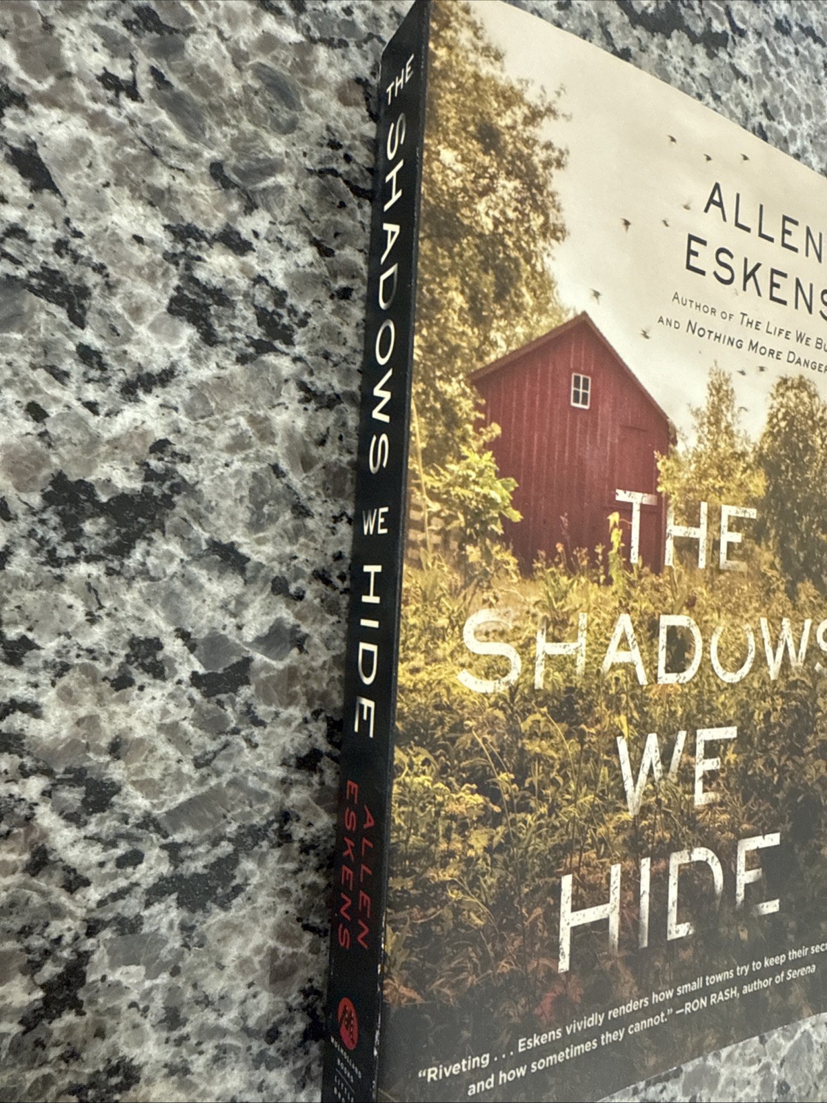 NEW-Shadows We Hide:The Highly Acclaimed Sequel to the Life We Bury by Allen…