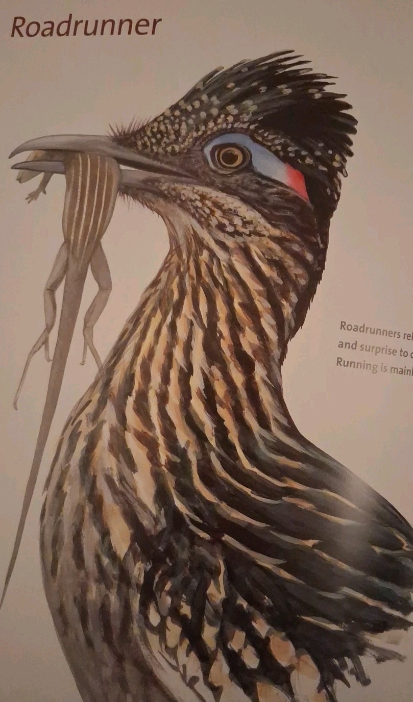 What It’s Like to Be a Bird : From Flying to Nesting, Eating to Singing–What…