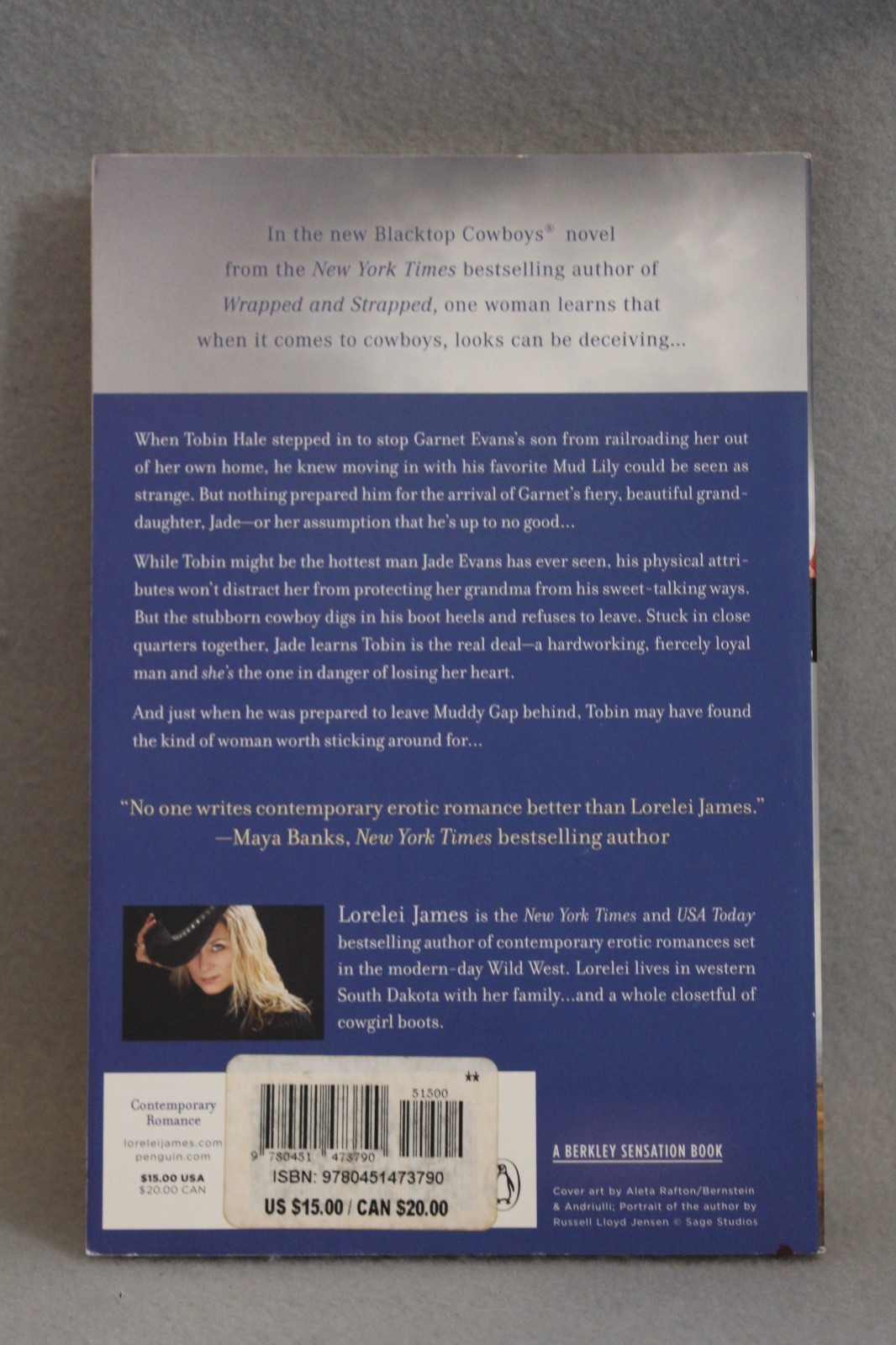 Blacktop Cowboys Series 14 Titles in 12 PBs Lorelei James PB Novellas USED Good