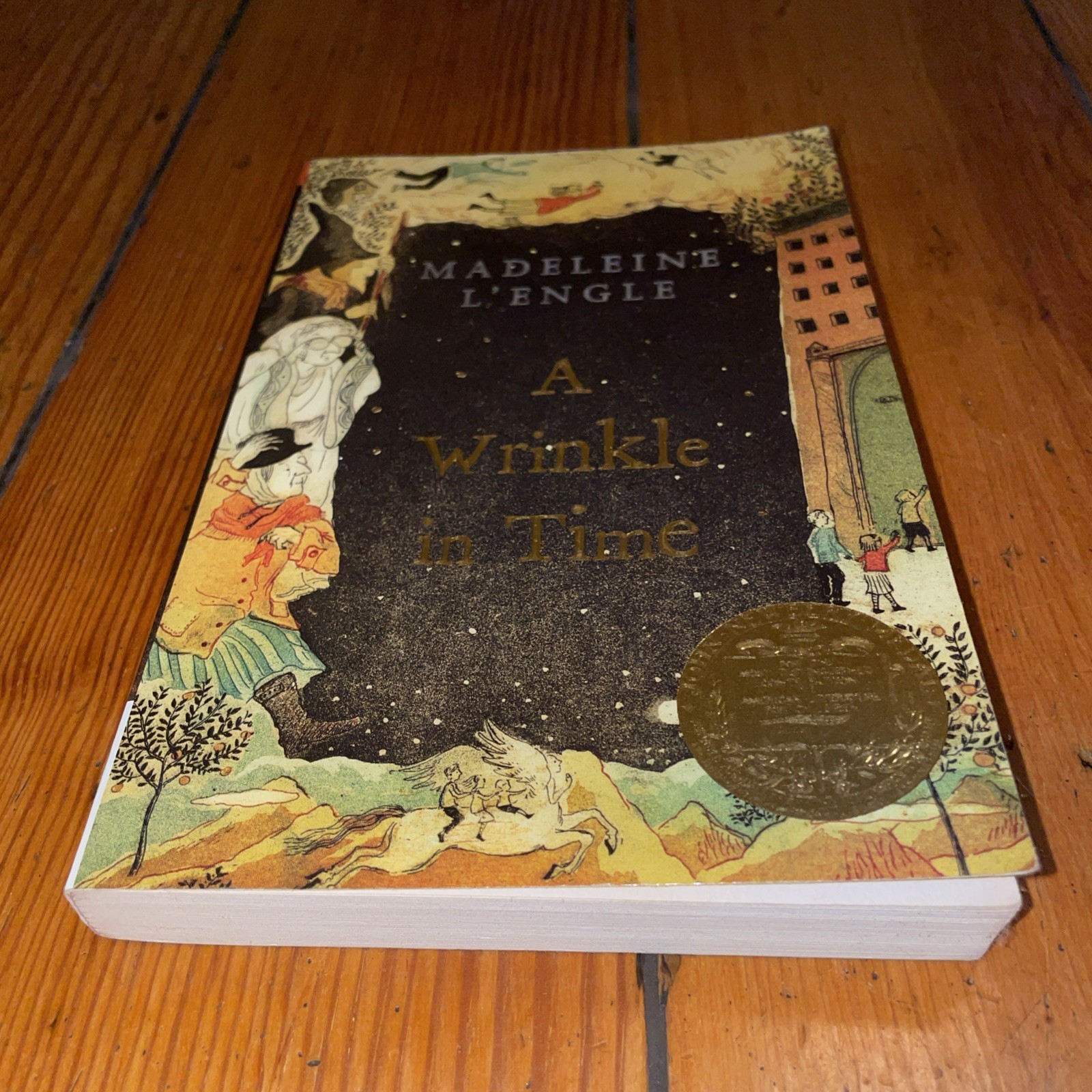 A Wrinkle In Time by Madaleine L’Engle (2007 Square Fish Trade Paperback)