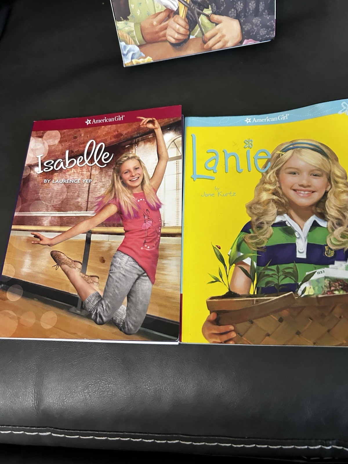 American Girl Books Lot (19 Books)