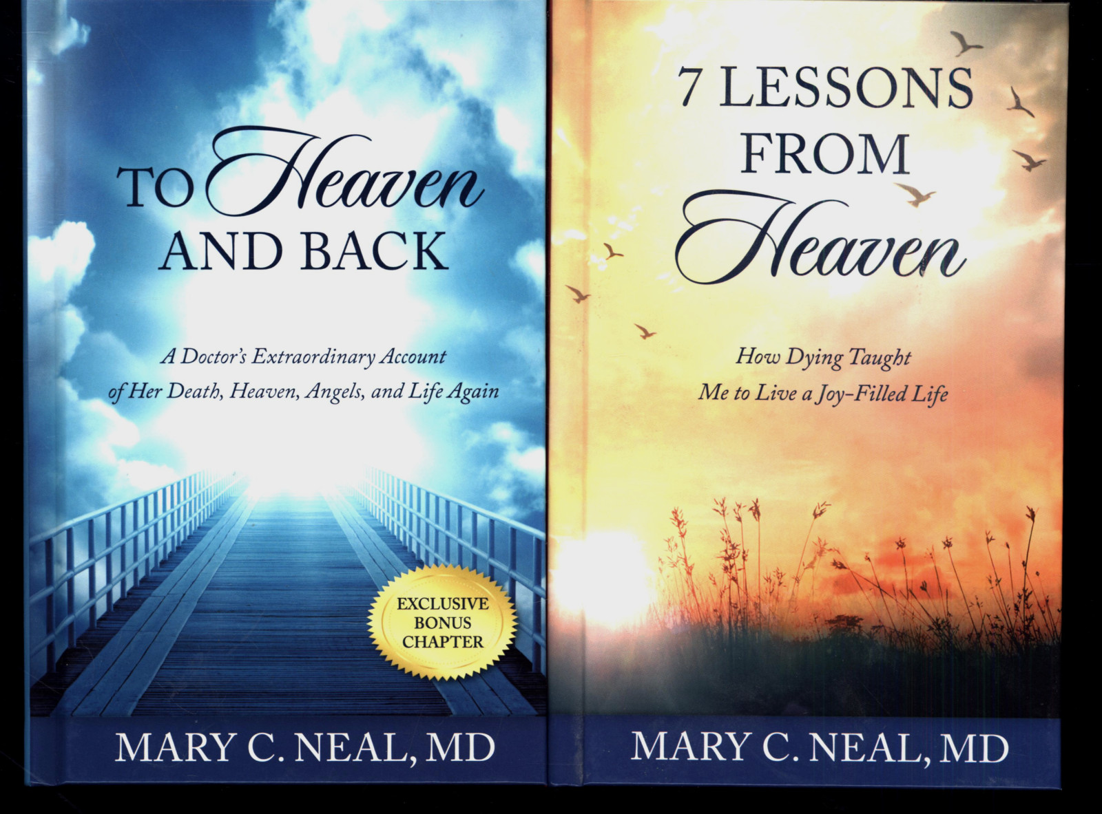 MARY NEAL 7 LESSONS FROM HEAVEN & TO HEAVEN AND BACK 2 BOOKS VERY GOOD