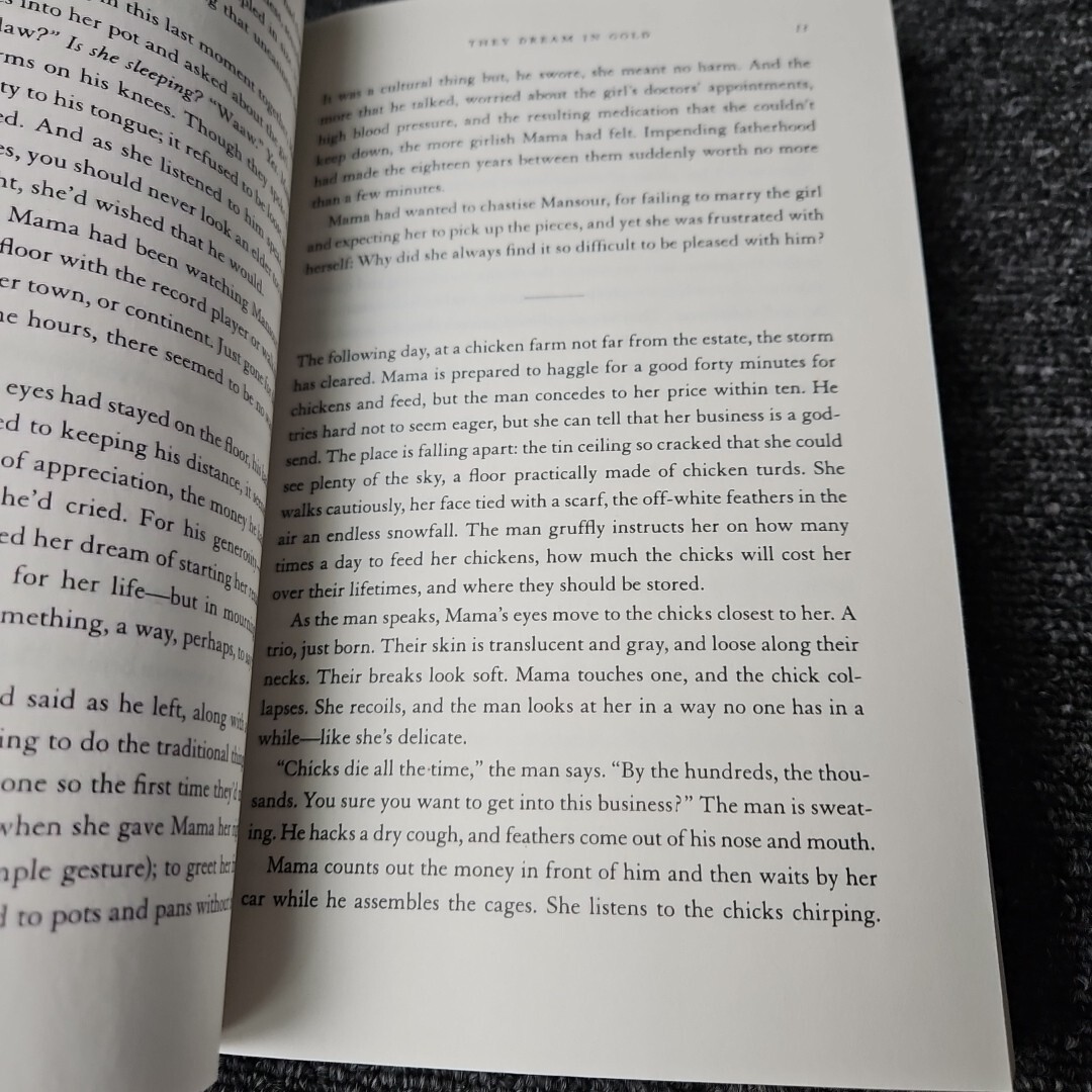 THEY DREAM IN GOLD Mai Sennaar Historical Fiction Zando Preview Edition