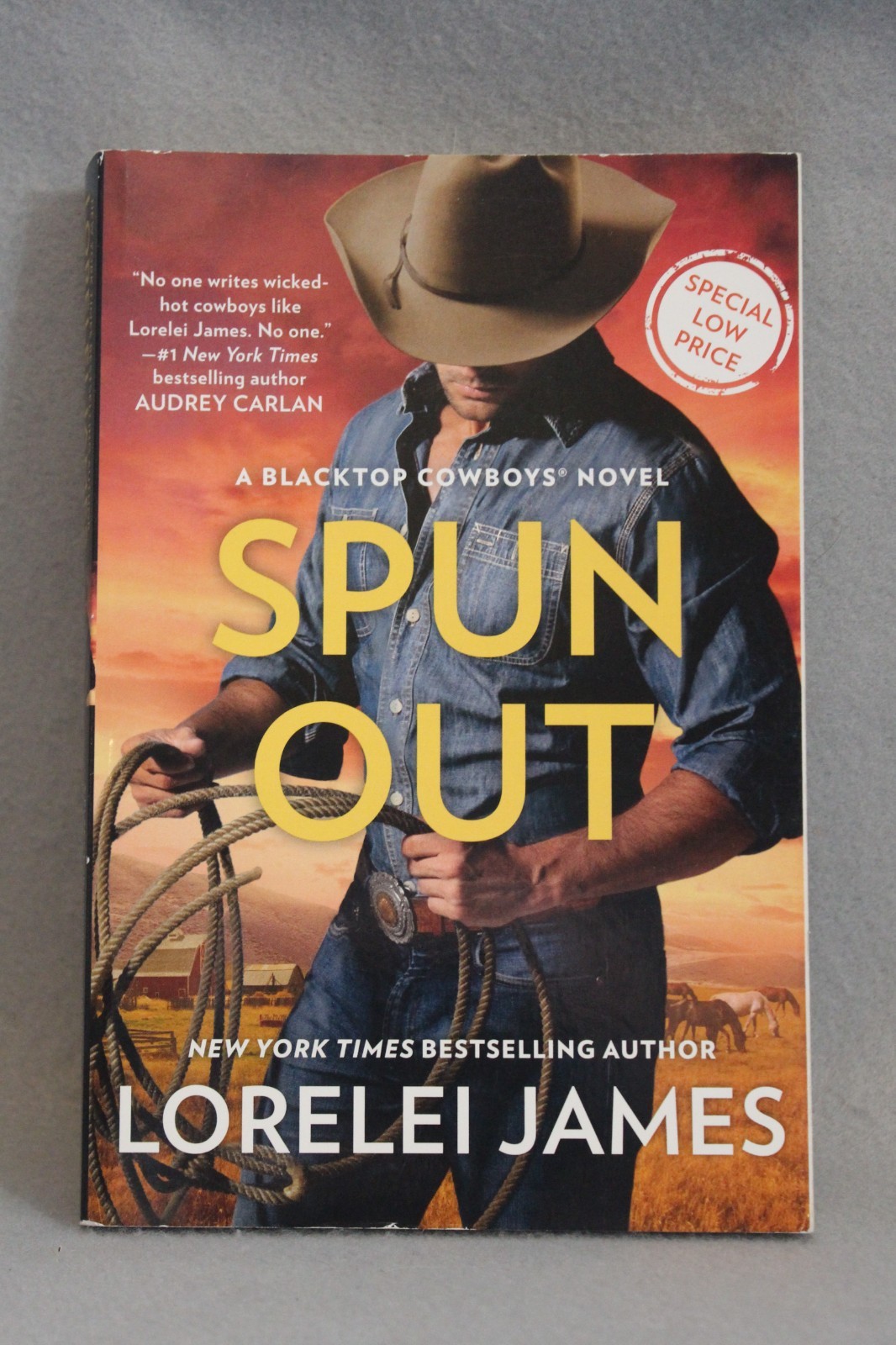Blacktop Cowboys Series 14 Titles in 12 PBs Lorelei James PB Novellas USED Good