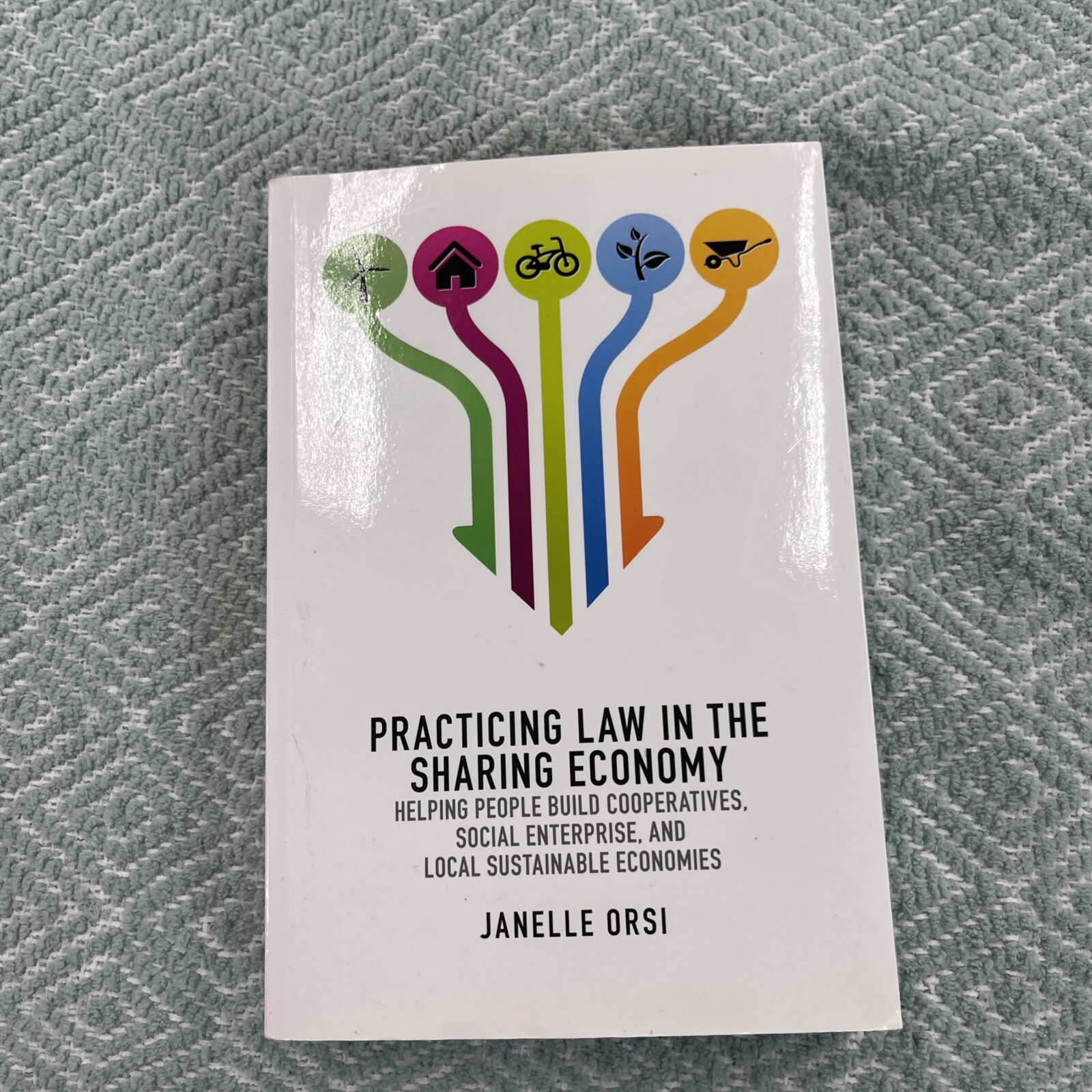 Practicing Sharing Law : The Legal Landscape of the New Economy by Janelle Orsi