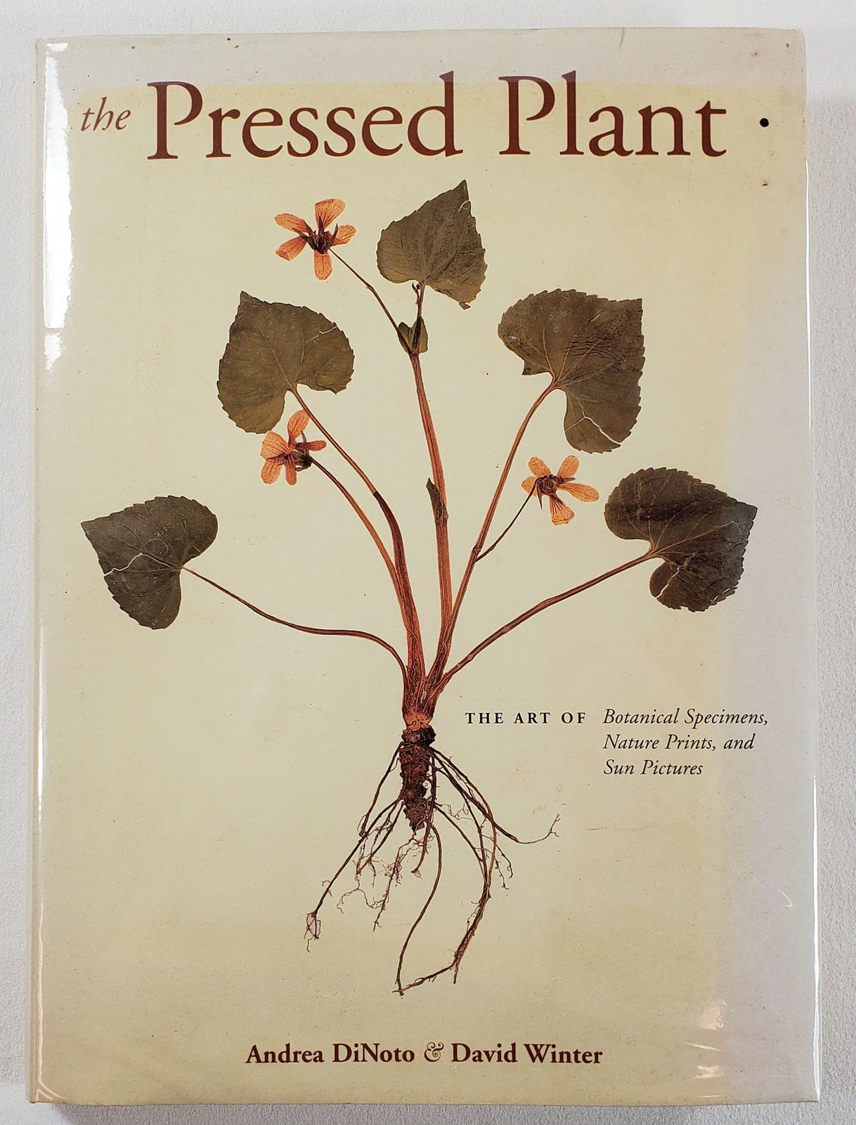The Pressed Plant