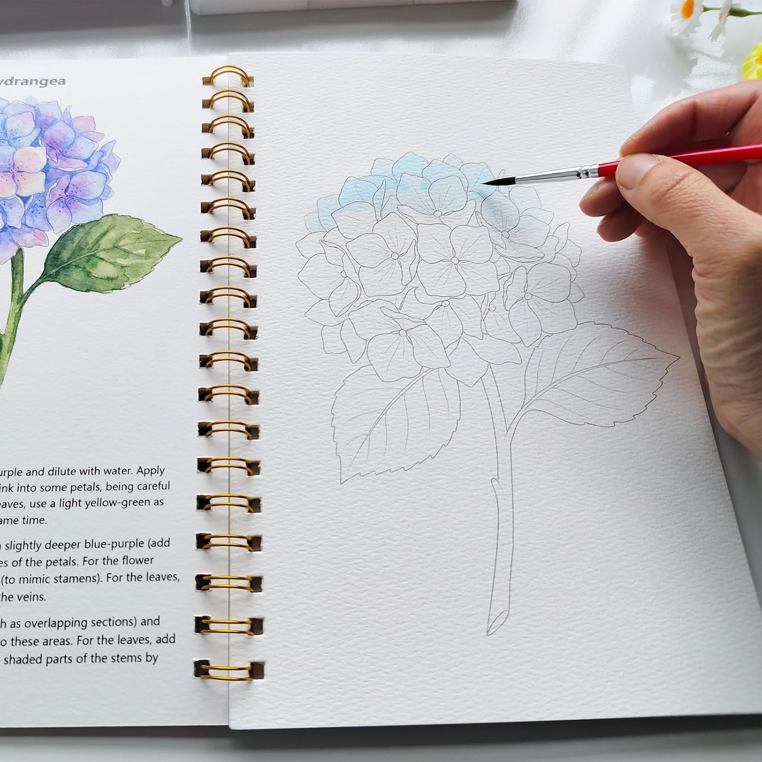 Watercolor Workbook 15 Beautiful Flowers Paintings for Adults &Teens Beginners,W