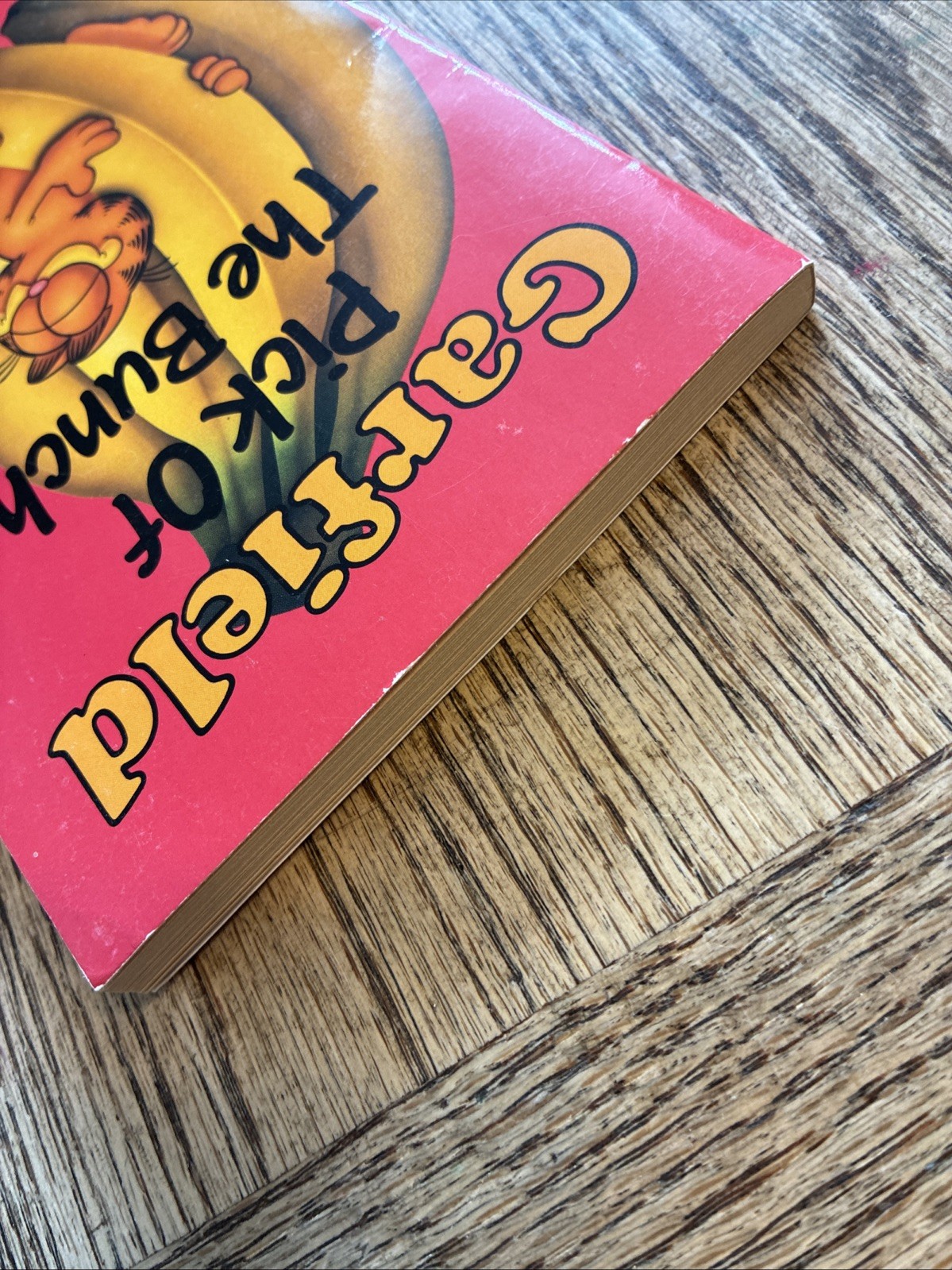 Garfield – Pick of the Bunch (Garfield Pocket Books) By Jim Davi