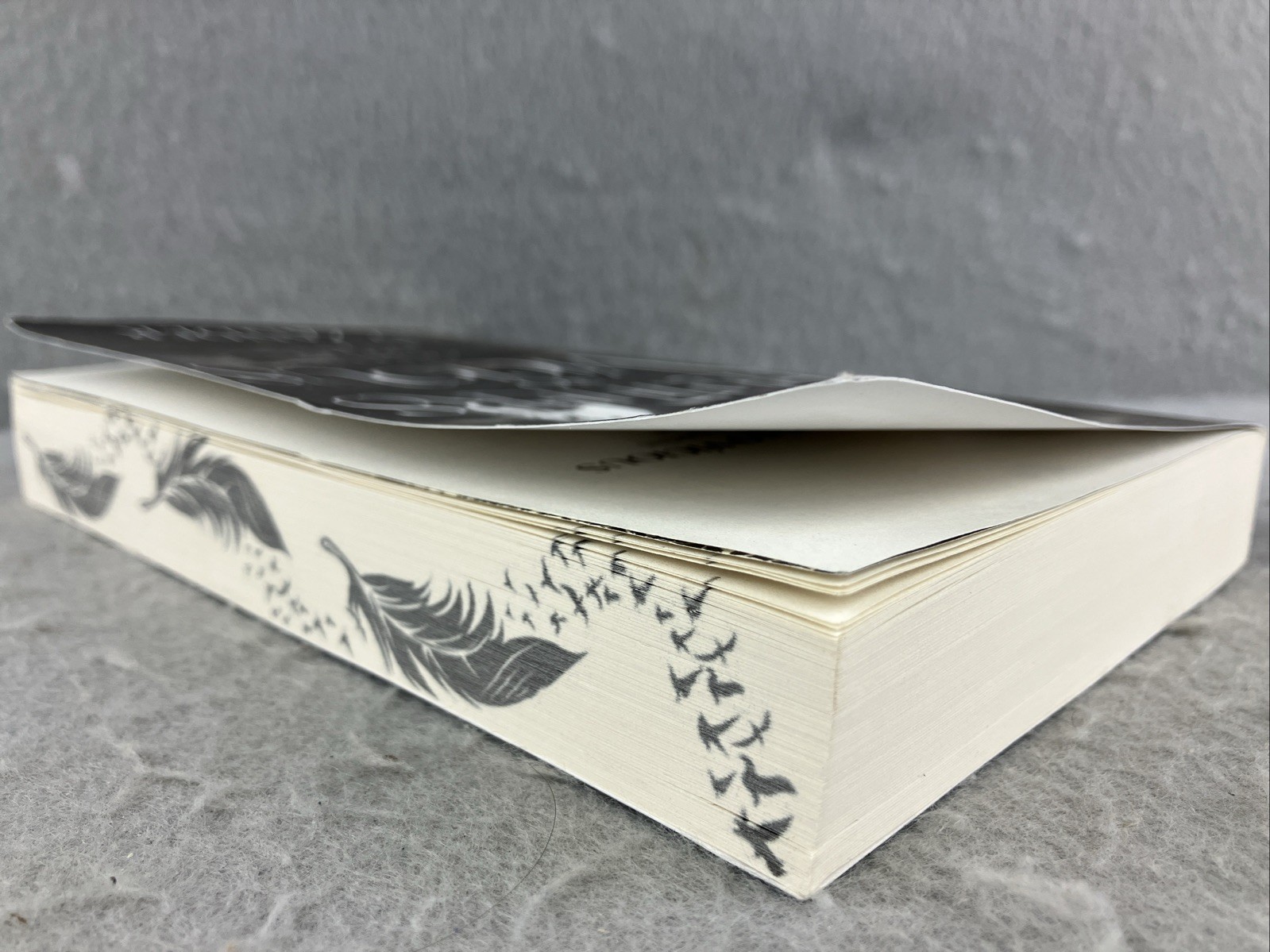 Feathers So Vicious: A Dark Fantasy Romance by Liv Zander Sprayed Pages