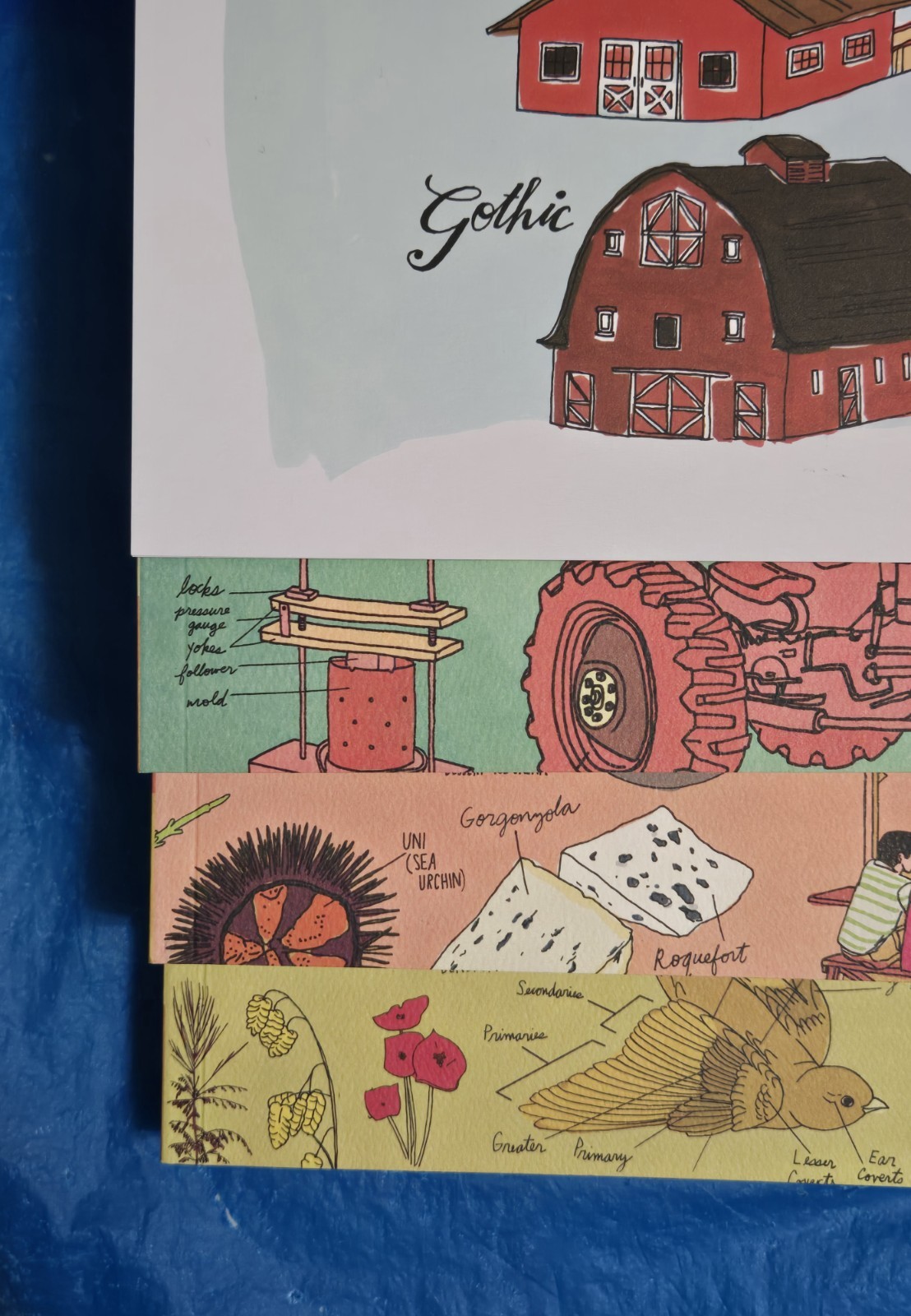 The Julia Rothman Collection: Farm Anatomy, Nature Anatomy, and Food Anatomy VG