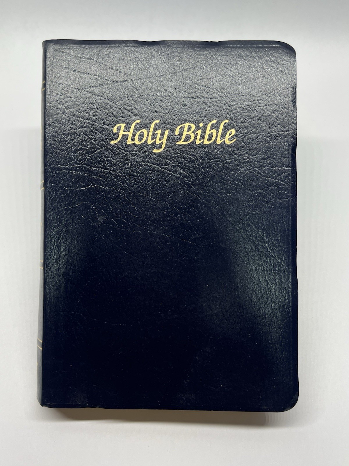 The New American Bible /Bible Catholic Word Press ~