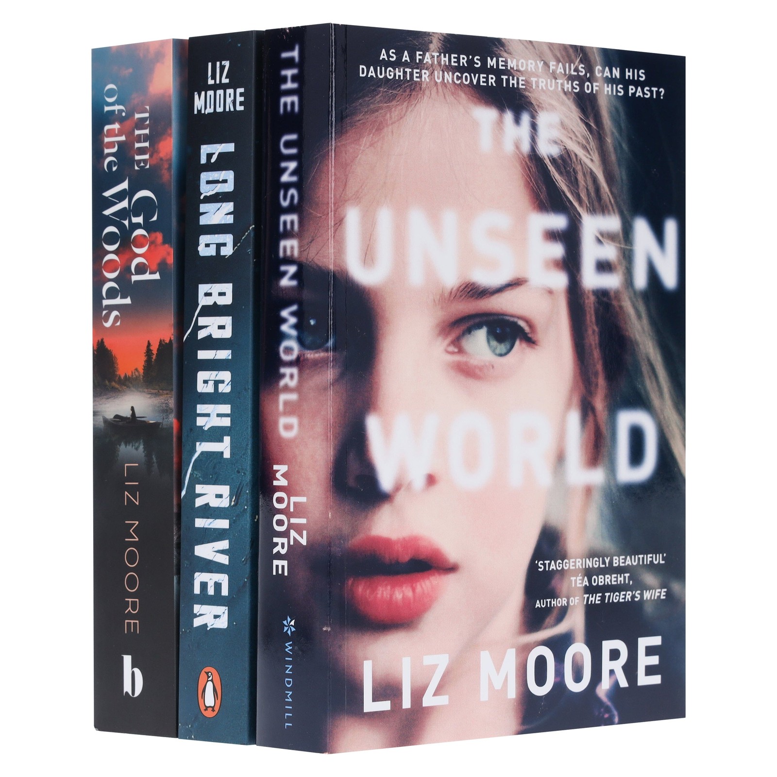 Liz Moore Collection 3 Books Set – Fiction – Paperback