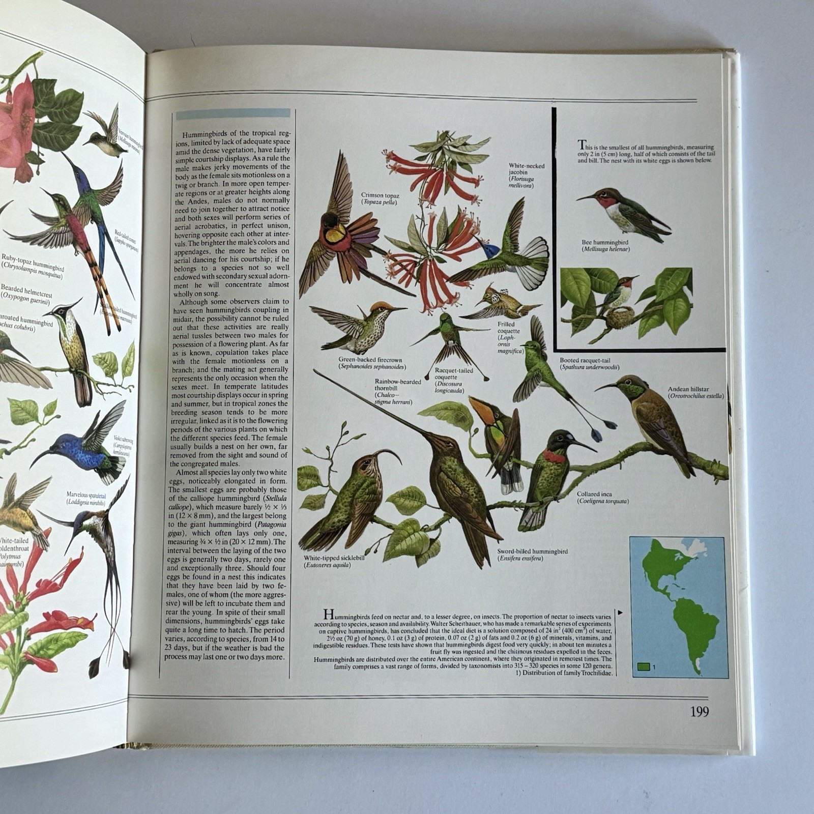 The Great Book Of Birds – 280 pages, 1,000 full color illustrations Ornithology