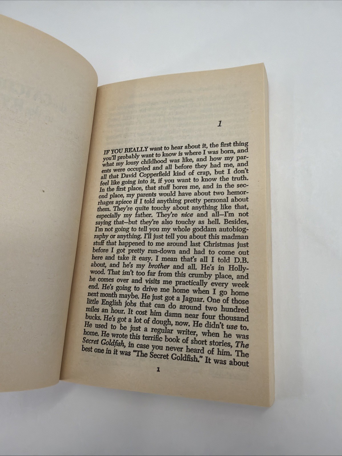 The Catcher in the Rye by J.D. Salinger