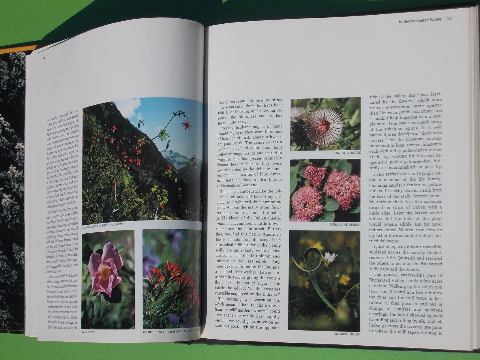 THE NORTHWEST COAST TIME-LIFE THE AMERICAN WILDERNESS (1973 HARDCOVER 184 PAGES)