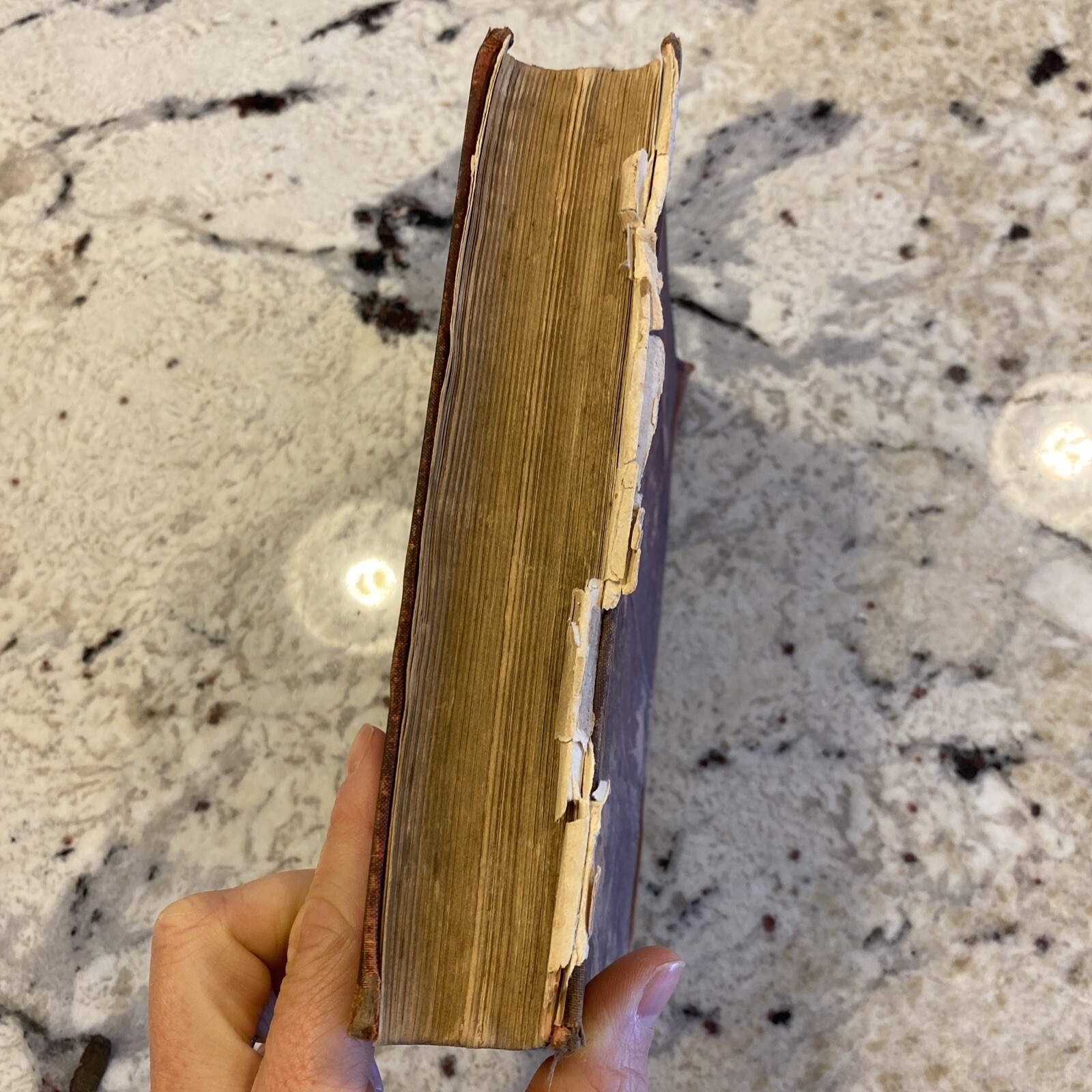 Samantha Among the Brethren by Marietta Holley, Josiah Allen’s Wife (HC), 1892