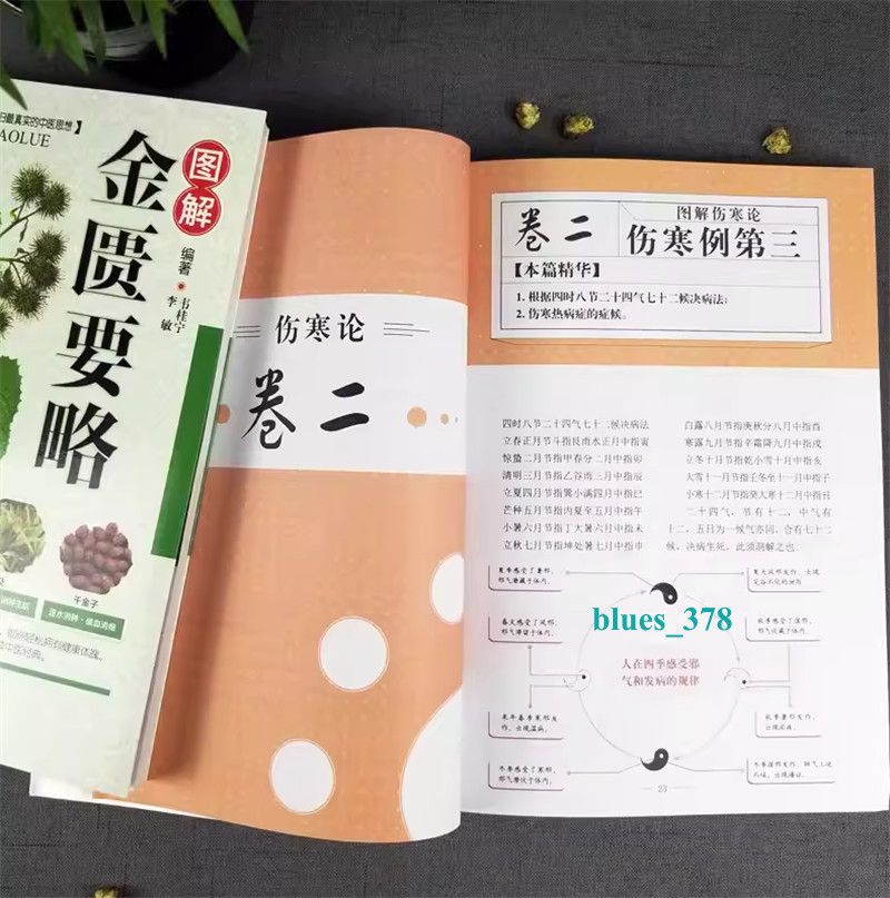 2pc Chinese Traditional Herbal Book Shanghan Zabing Lun 伤寒论 张仲景 +金匮要略 中医临床书籍基础理论