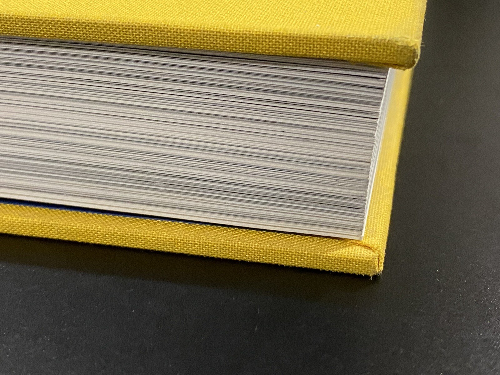 303 Gallery : 35 Years by N.Y.) Staff 303 Gallery (New York (Hardcover)