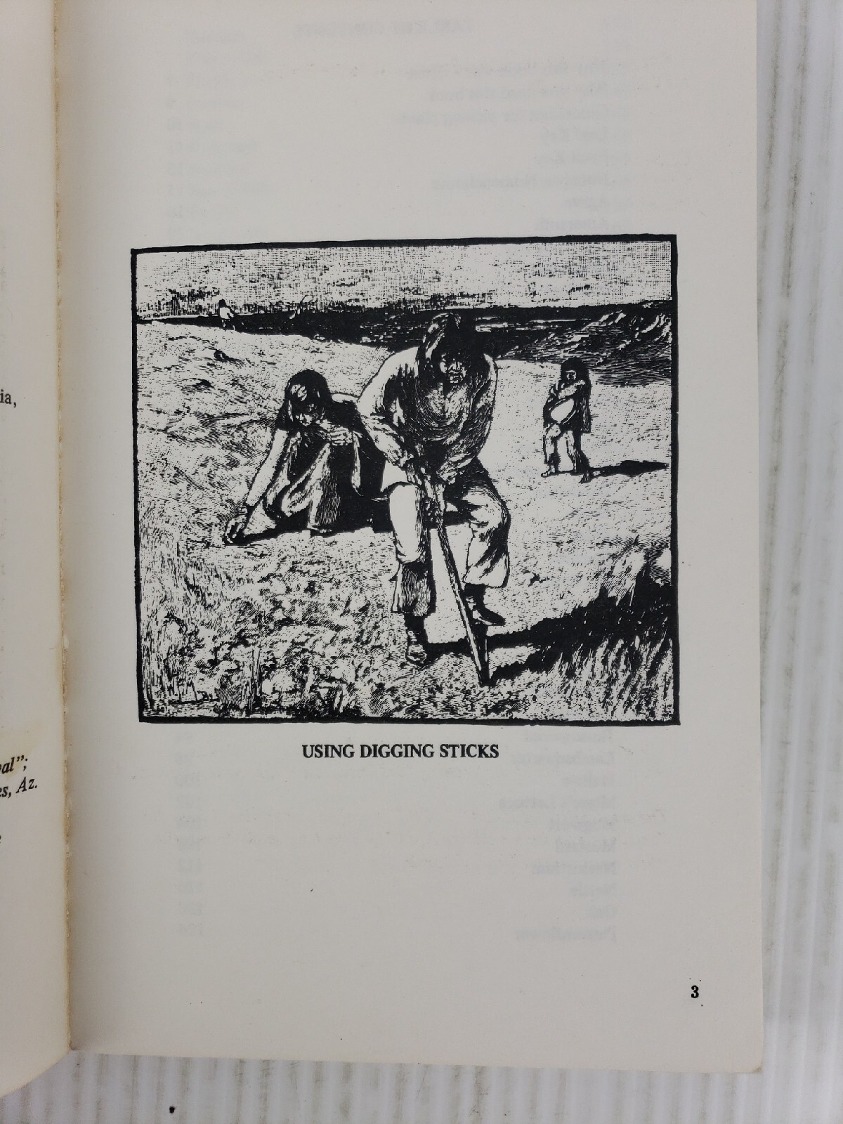 A Southern Californian’s Guide to Wild Food Volume 1 by Christopher Nyerges