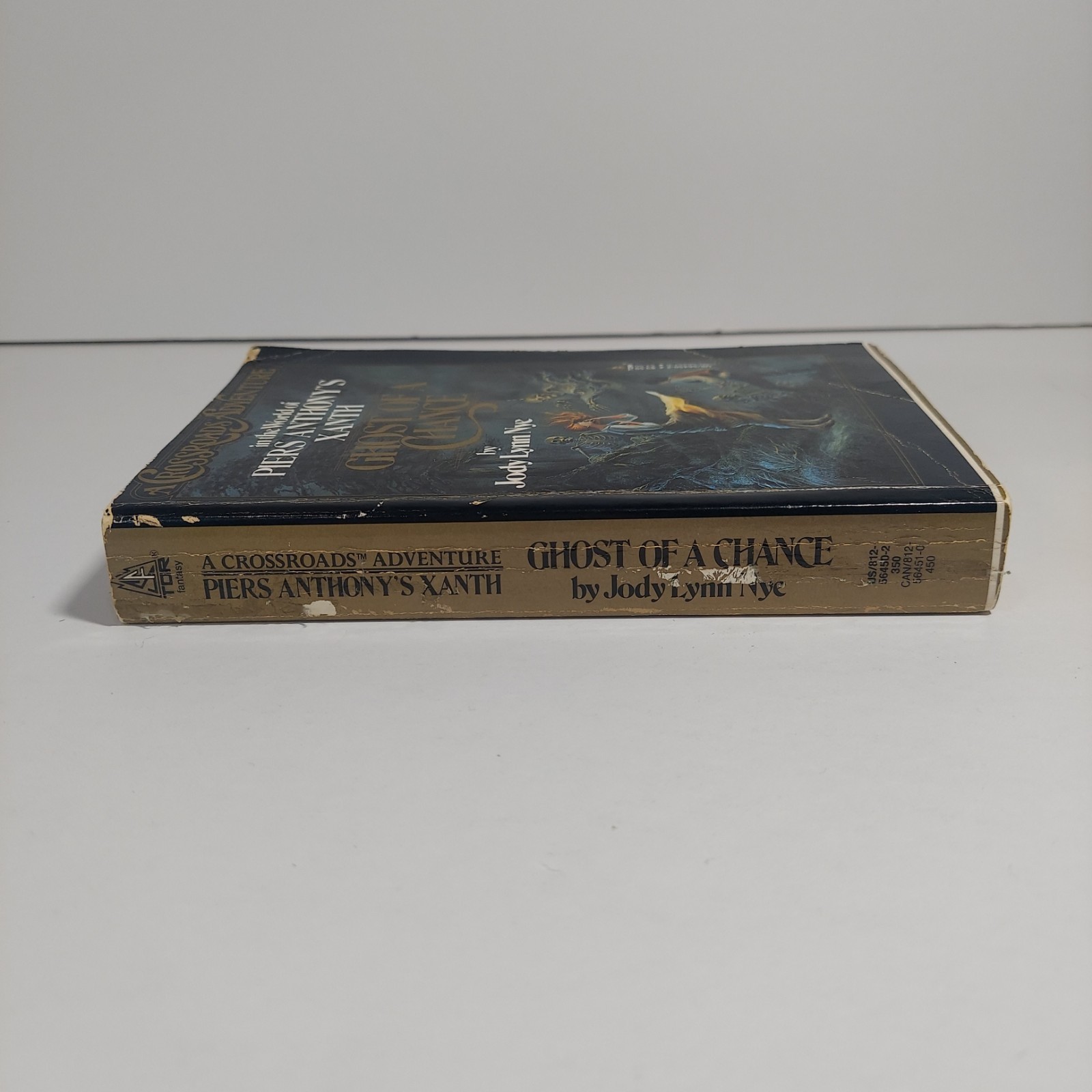 Ghost of a Chance by Jody L. Nye (1988, Trade Paperback) A Crossroads Adventure