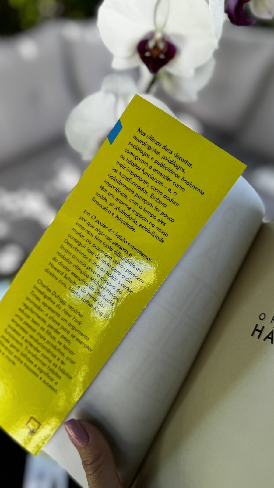 Poder do Habito (Em Portugues do Brasil) – Charles Duhigg
