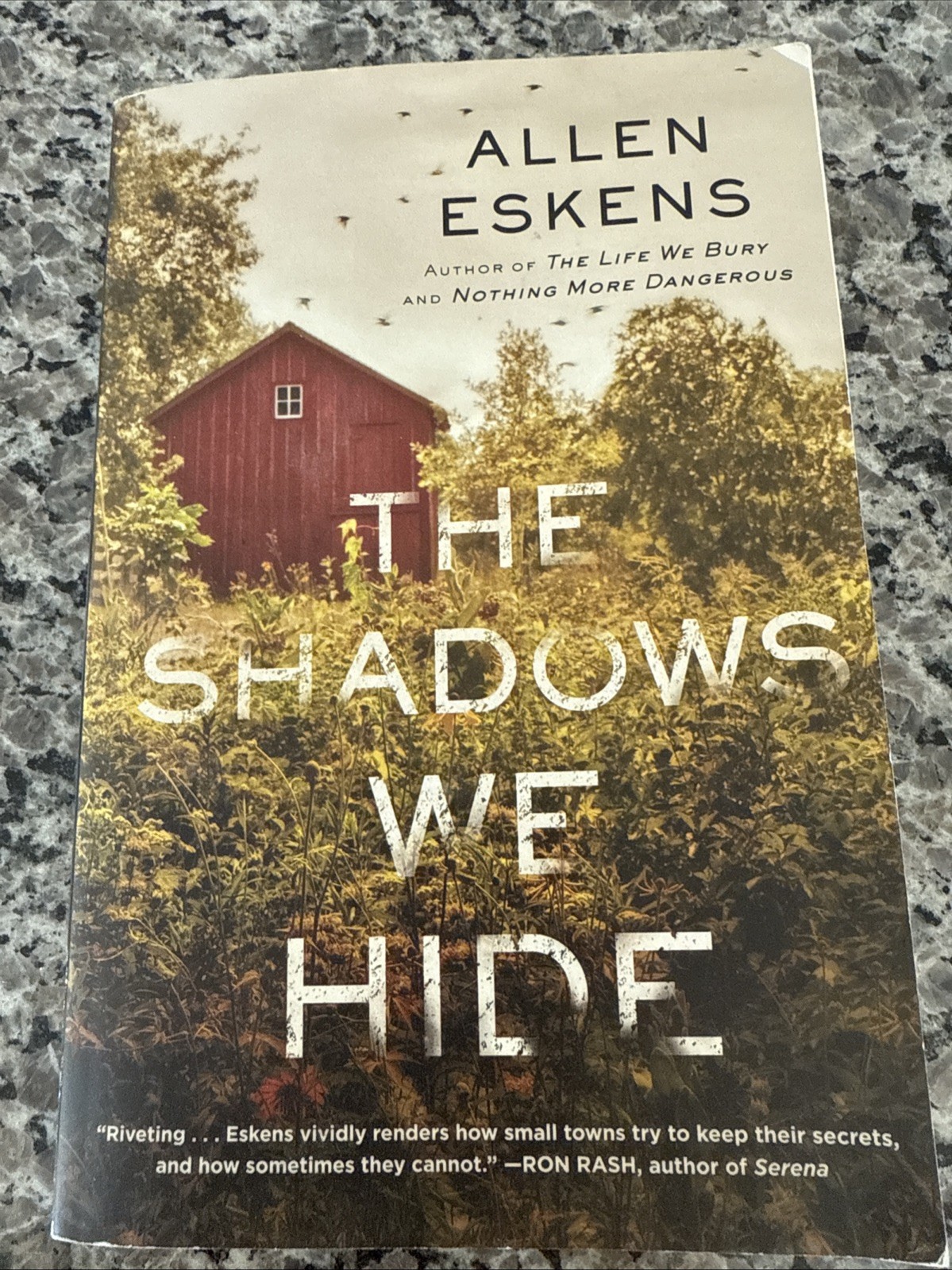 NEW-Shadows We Hide:The Highly Acclaimed Sequel to the Life We Bury by Allen…