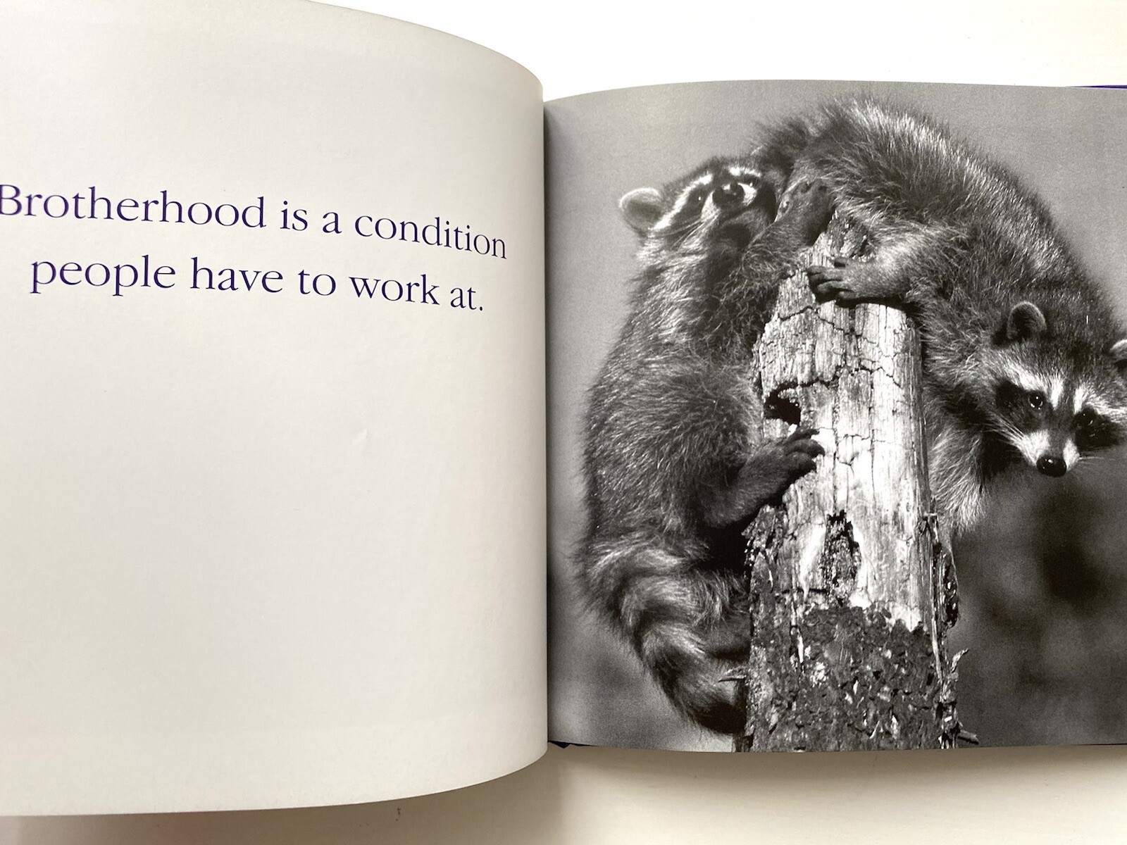 Book” Yo Bro!: My Brother, My Friend” by Tom Burns size 6.5×6.5in.