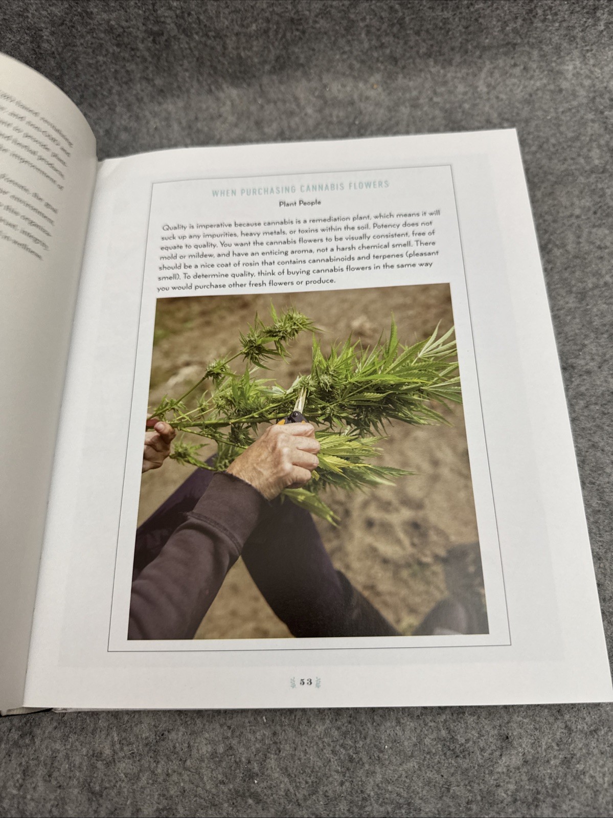 Art of Cooking with Cannabis : CBD and THC-Infused Recipes from Across…