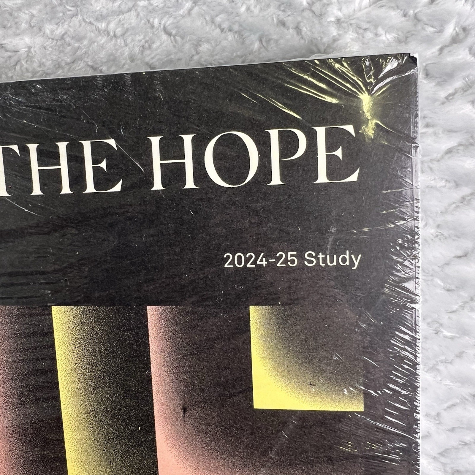 Revelation The Hope Bible Study Fellowship 2024-25 Lesson Book New Sealed