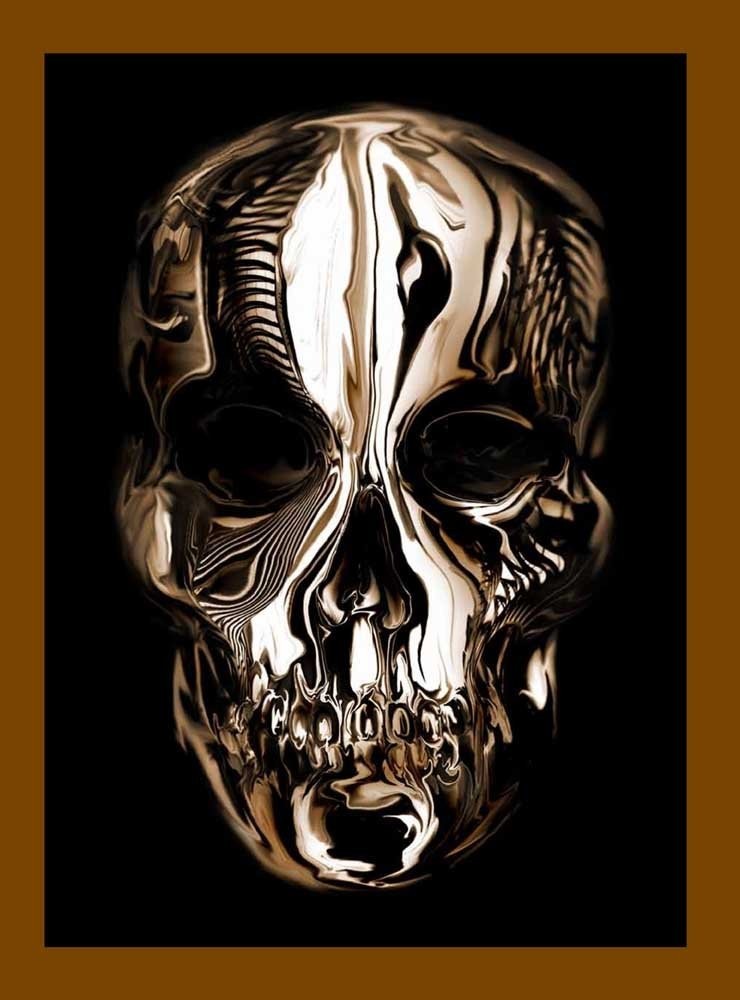 Alexander McQueen: Savage Beauty Hardcover Illustrated Edition