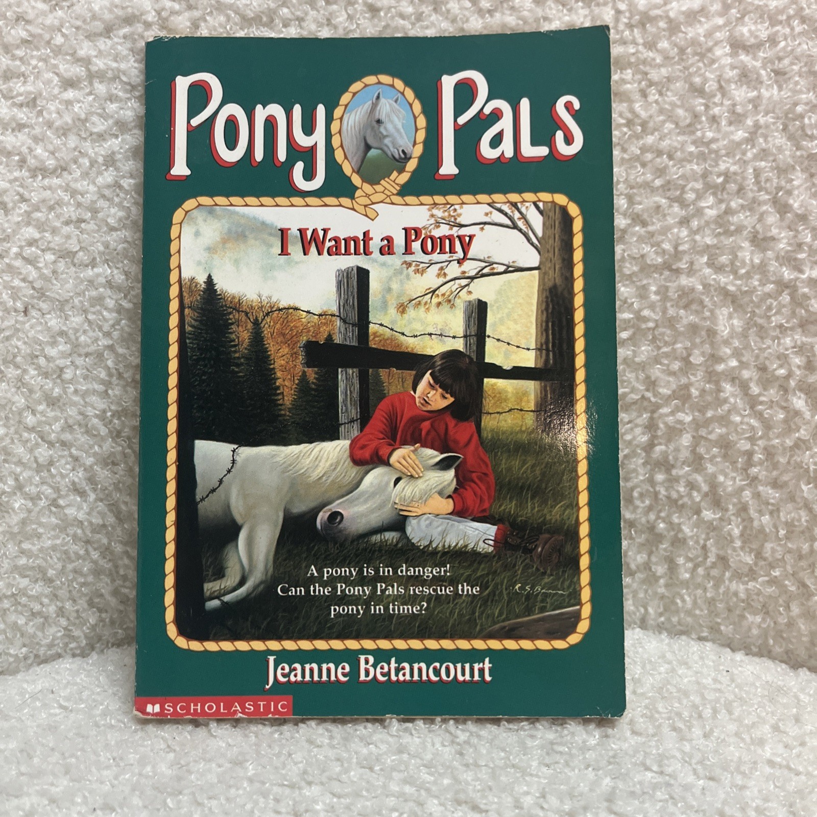 Lot 21 Pony Pals Book Paperback Horse Books Jeanne Betancourt Vintage Scholastic